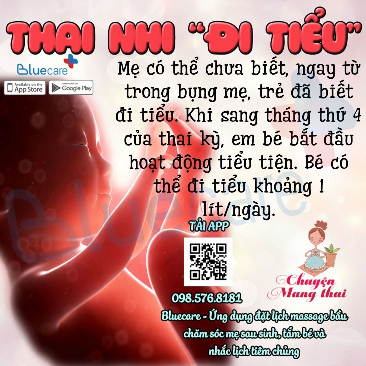 Trong bụng mẹ chúng tớ cũng bận phết đấy 😂