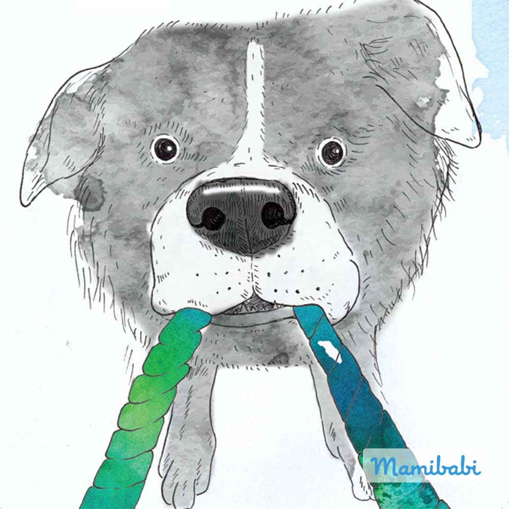 Truyện Ehon - Truyện tranh thai giáo: Bật nhảy