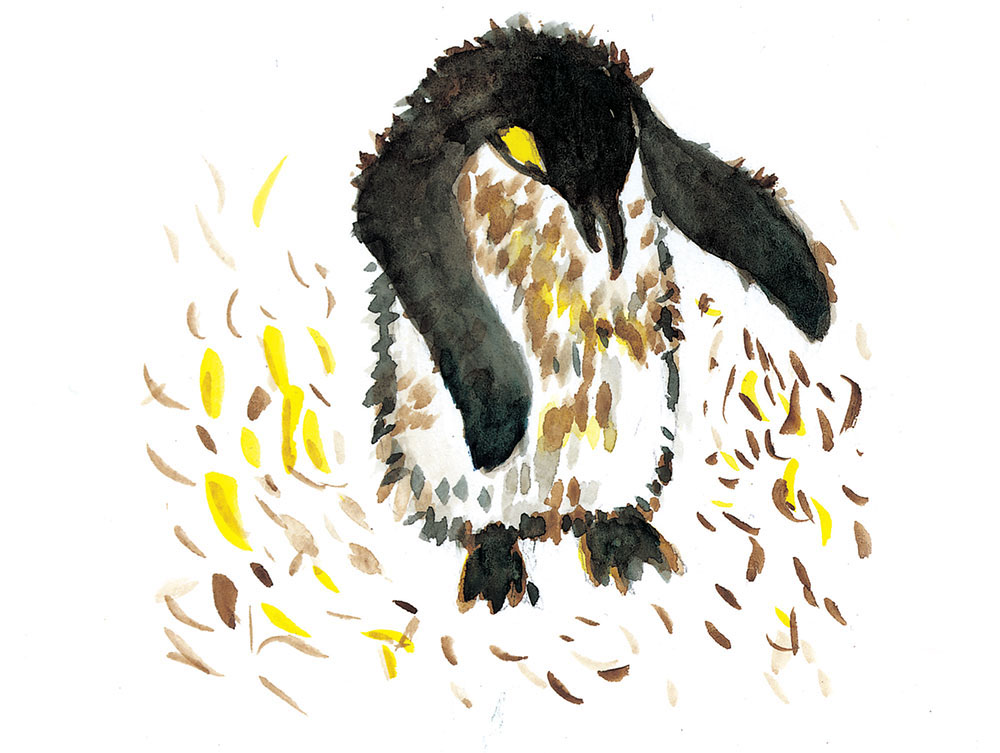 Truyện Ehon - Truyện tranh thai giáo: Những người bạn nhiều lông