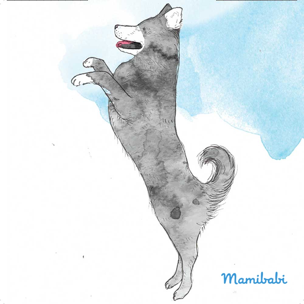 Truyện Ehon - Truyện tranh thai giáo: Bật nhảy