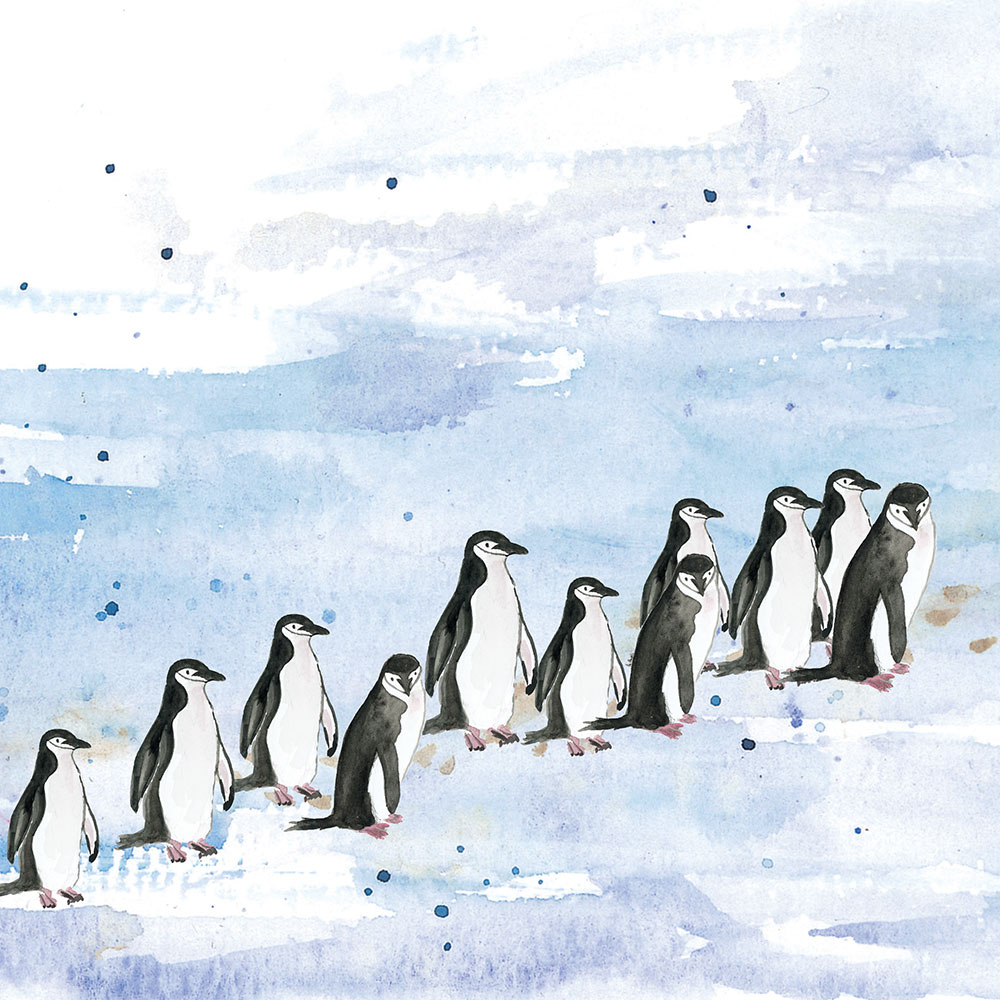 Truyện Ehon - Truyện tranh thai giáo: Những người bạn nhiều lông