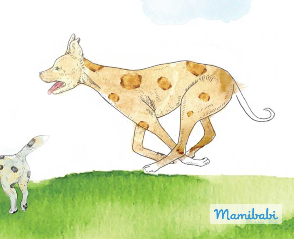 Truyện Ehon - Truyện tranh thai giáo: Bật nhảy