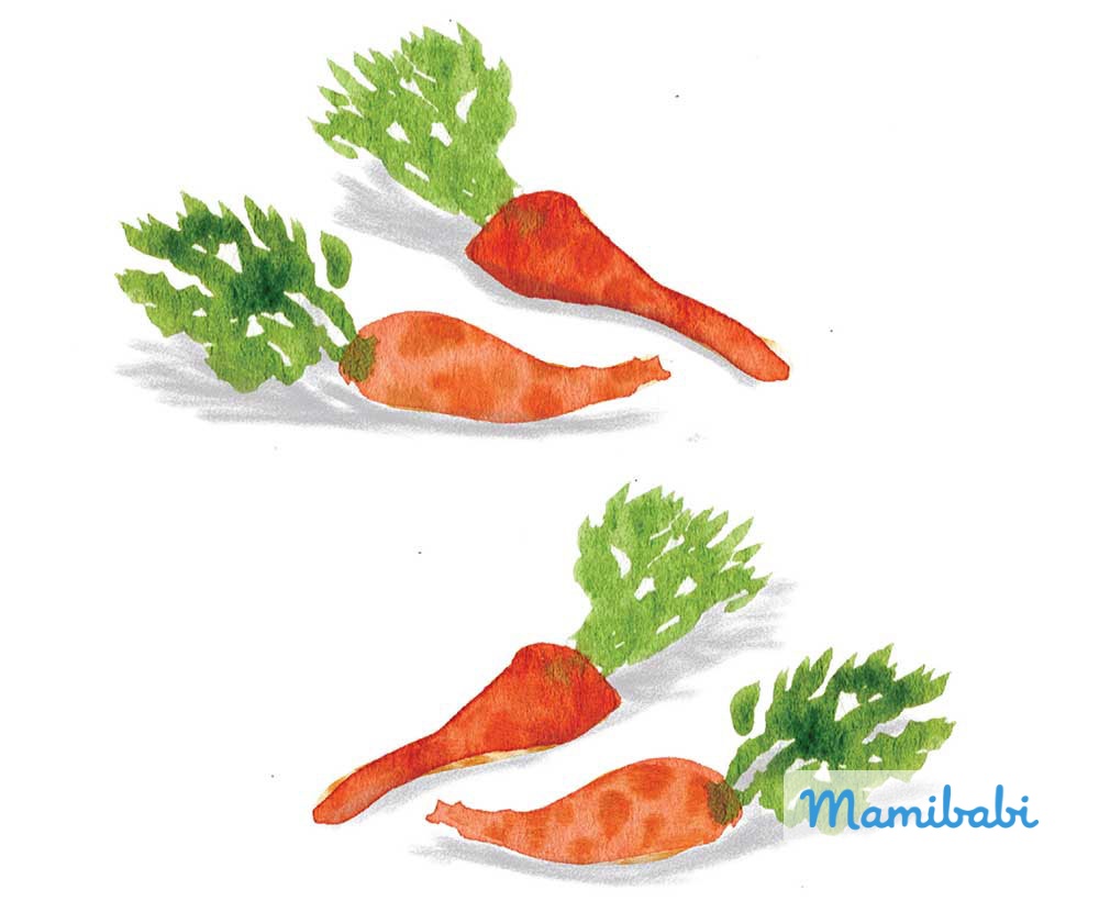 Truyện Ehon - Truyện tranh thai giáo: Zanele nhìn thấy những con số