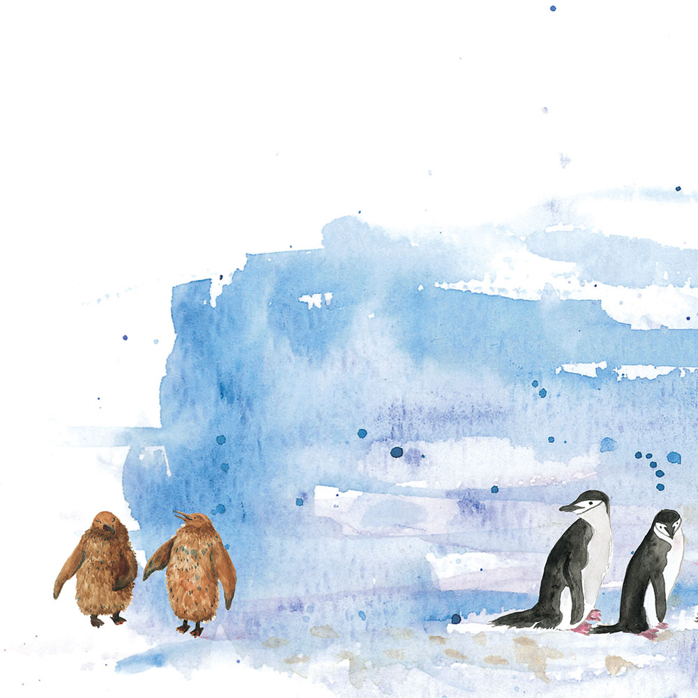 Truyện Ehon - Truyện tranh thai giáo: Những người bạn nhiều lông