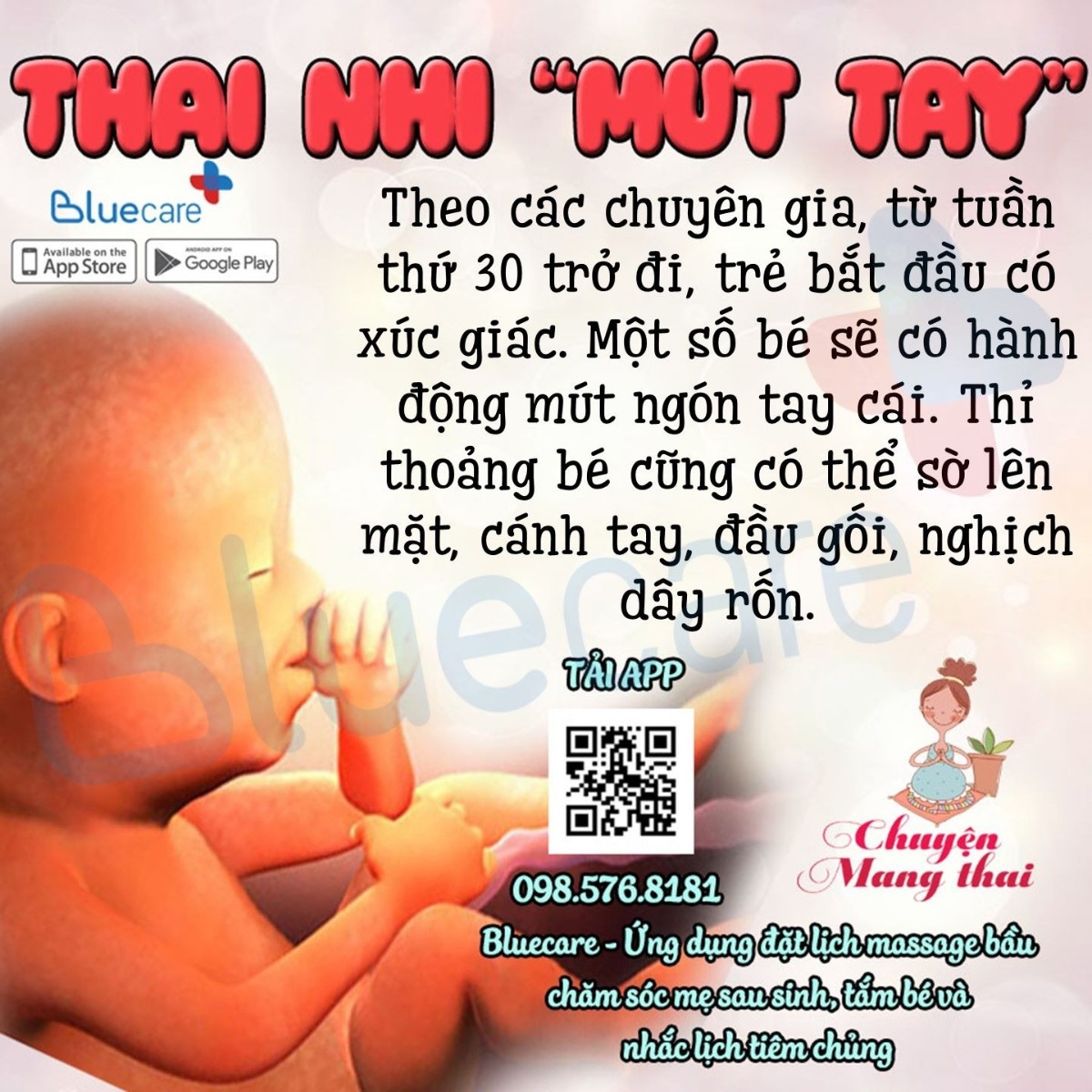 Trong bụng mẹ chúng tớ cũng bận phết đấy 😂