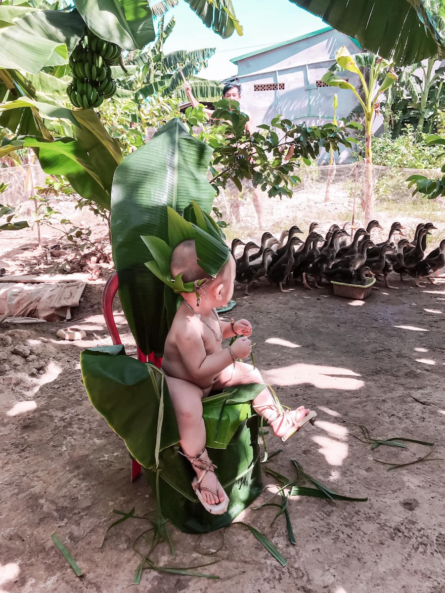 Có ai thấy con ở đâu không ạ
Nếu không thấy thì con đã hoá thân thành công rồi🤣🤣
Chuyện là con chăn vịt giúp ông ngoại mà vịt thấy con nó sợ nên con phải hoá thân thành bụi chuối nè☺️☺️
