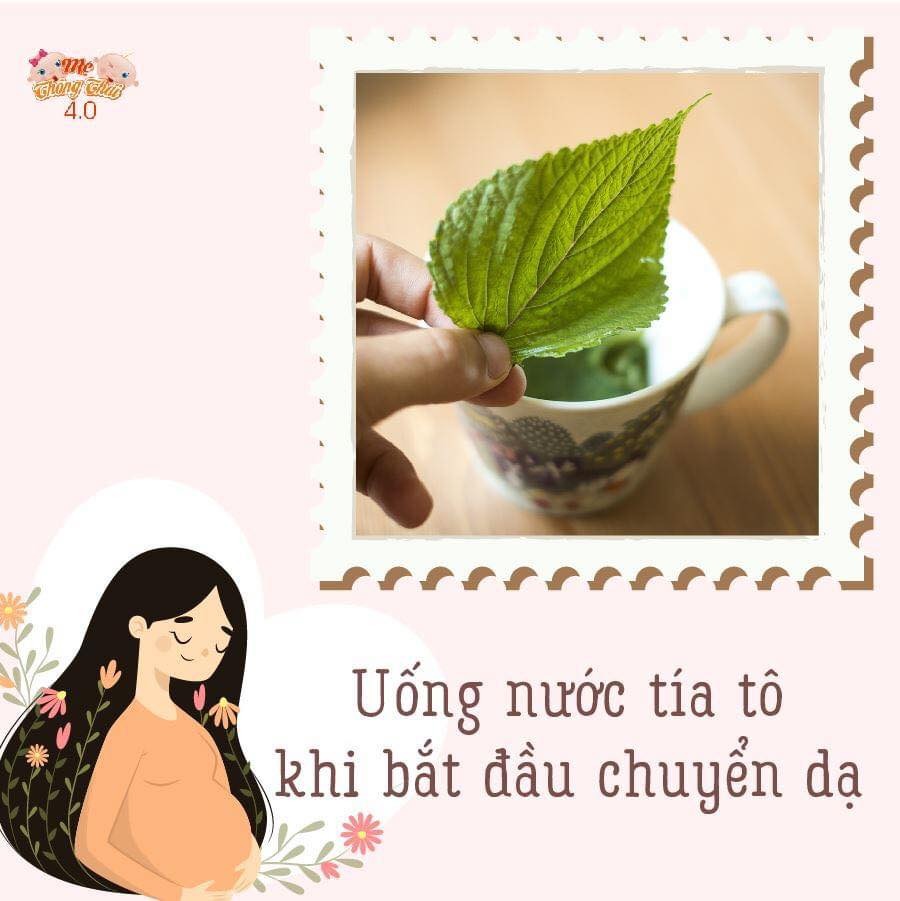9 THỰC PHẨM VÀNG GIÚP MẸ BẦU ĐẺ KHÔNG ĐAU, CON CHUI RA CHỈ TRONG 1 PHÚT
⁉️ Cận kề ngày sắp sinh, đa số mẹ bầu đều lo sợ và ám ảnh về cơn đau đẻ, hãy dùng thực phẩm giúp cổ tử cung mở nhanh, kích thích chuyển dạ tức thì khiến mẹ bầu sinh thường dễ dàng hơn dưới đây nhé!
