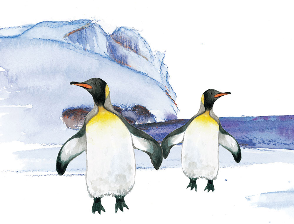 Truyện Ehon - Truyện tranh thai giáo: Những người bạn nhiều lông