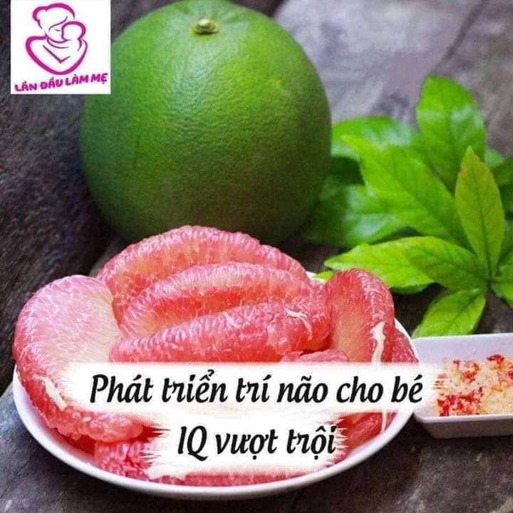 Top những loại thực phẩm tốt cho mẹ bầu
Mẹ bảo Bố lưu lại mua cho mẹ ăn nè