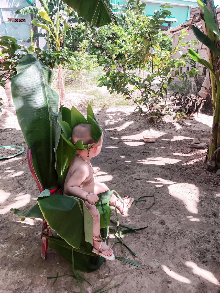 Có ai thấy con ở đâu không ạ
Nếu không thấy thì con đã hoá thân thành công rồi🤣🤣
Chuyện là con chăn vịt giúp ông ngoại mà vịt thấy con nó sợ nên con phải hoá thân thành bụi chuối nè☺️☺️