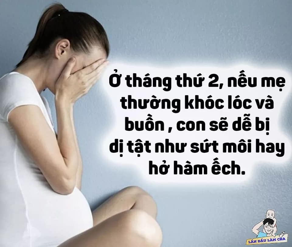 Để mẹ bầu buồn khóc có hại với thai nhi lắm nhé