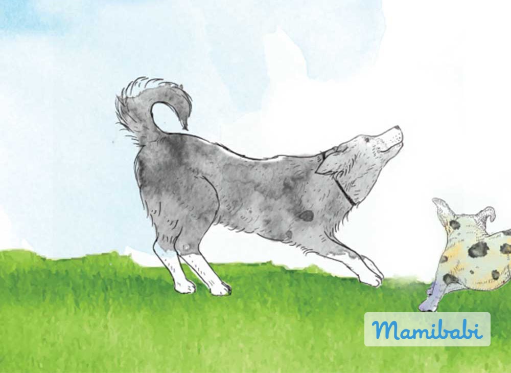 Truyện Ehon - Truyện tranh thai giáo: Bật nhảy