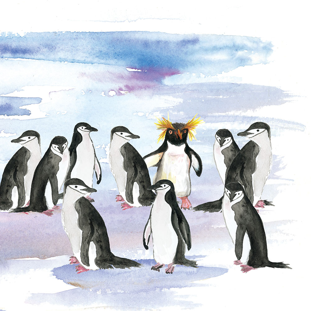 Truyện Ehon - Truyện tranh thai giáo: Những người bạn nhiều lông