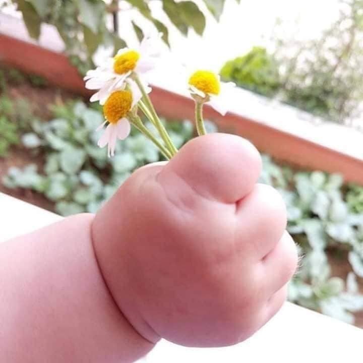 Cưng xỉu các môm ơi 😍