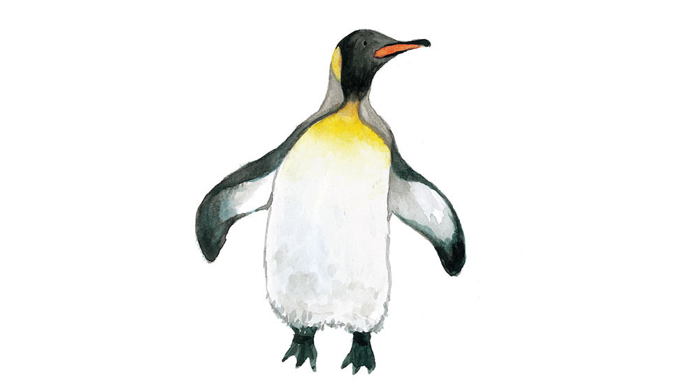 Truyện Ehon - Truyện tranh thai giáo: Những người bạn nhiều lông