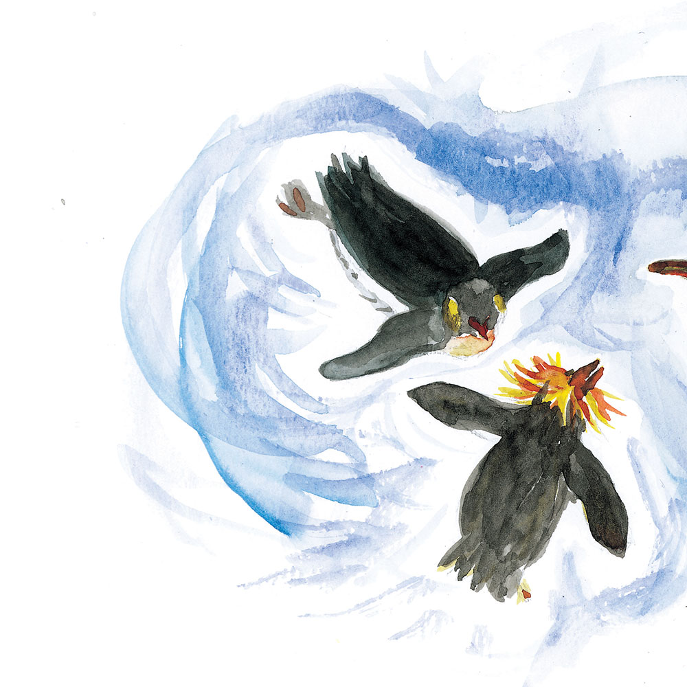 Truyện Ehon - Truyện tranh thai giáo: Những người bạn nhiều lông