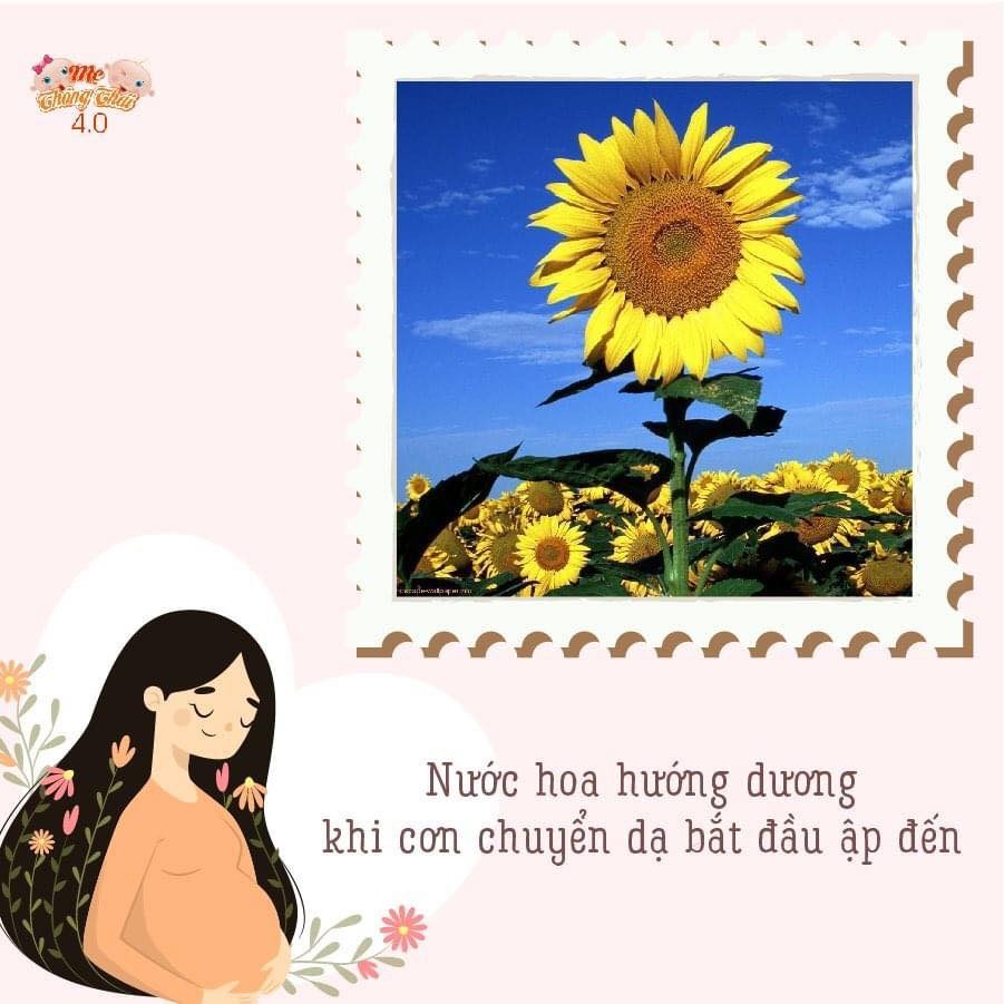 9 THỰC PHẨM VÀNG GIÚP MẸ BẦU ĐẺ KHÔNG ĐAU, CON CHUI RA CHỈ TRONG 1 PHÚT
⁉️ Cận kề ngày sắp sinh, đa số mẹ bầu đều lo sợ và ám ảnh về cơn đau đẻ, hãy dùng thực phẩm giúp cổ tử cung mở nhanh, kích thích chuyển dạ tức thì khiến mẹ bầu sinh thường dễ dàng hơn dưới đây nhé!