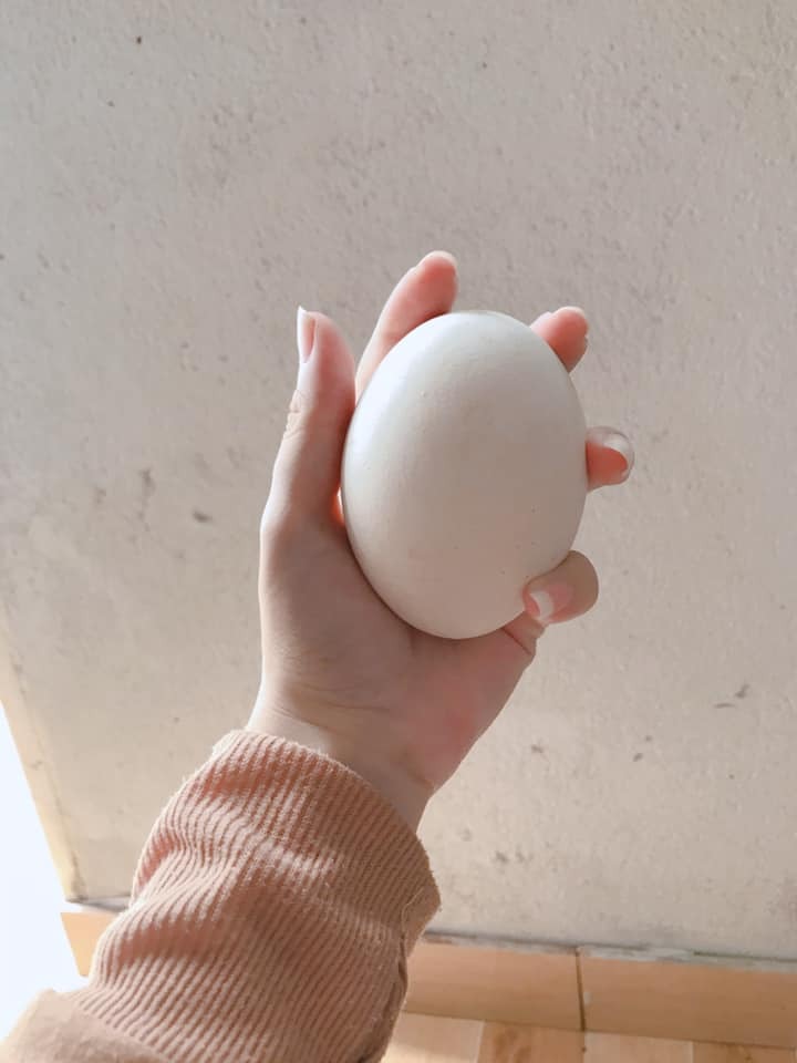 Không biết em có bị zụ không mấy thím 😑
Chạy hết chợ mua được mỗi cái trứng ngỗng mà bán em tới tận 50k 😃
Chỗ các thím mua bao nhiêu thế 😁 nó là trứng ngỗng chứ có phải trứng tiên đâu sao đắt thế nhợ