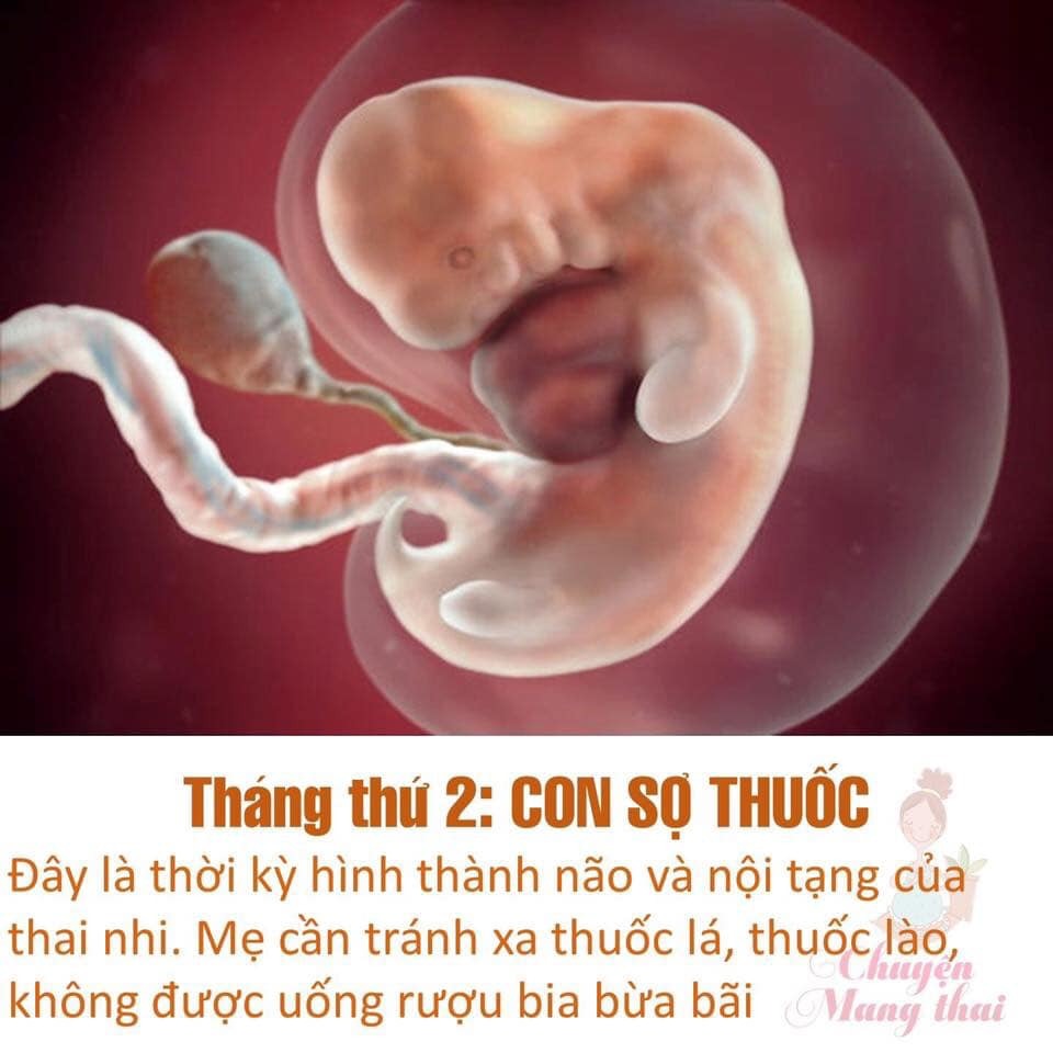 Các mẹ ơi chú ý nhé để con sinh ra được khoẻ mạnh nhé!