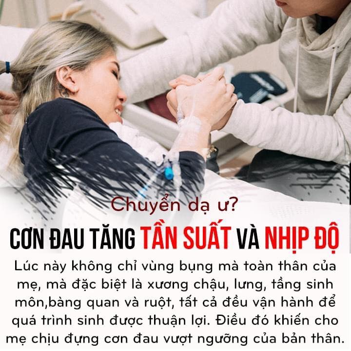 Gửi cái này ngay cho bố các cháu ạ 😂