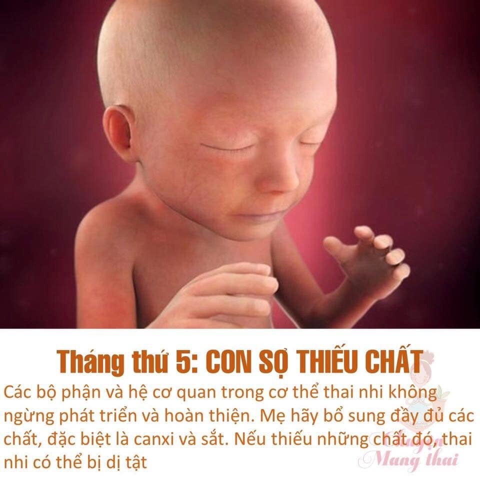 Các mẹ ơi chú ý nhé để con sinh ra được khoẻ mạnh nhé!