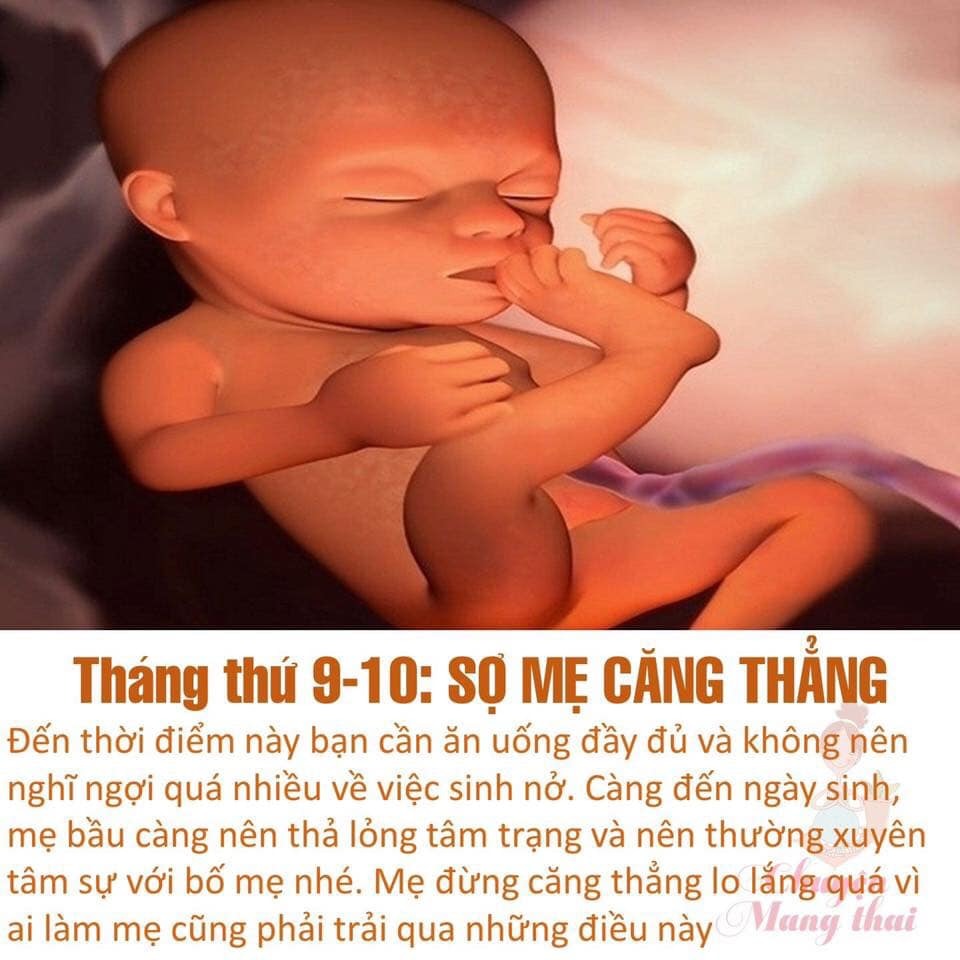 Các mẹ ơi chú ý nhé để con sinh ra được khoẻ mạnh nhé!