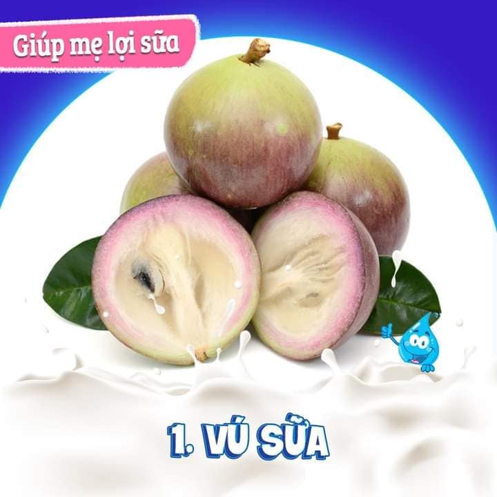 SỮA VỀ " ƯỚT ÁO" 

Nếu mẹ bổ sung ngay 8 loại trái cây siêu lợi sữa này

Các mẹ lưu ngay 8 loại trái cây thần thánh lợi sữa, rất tốt cho mẹ và bé, để sau sinh không bị ăn đến phát ngán thịt rang canh rau ngót, móng giò đu đủ xanh mà vẫn đủ sức nuôi con và cho con bú nè