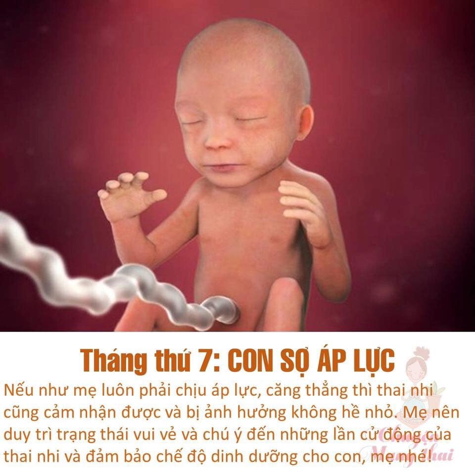 Các mẹ ơi chú ý nhé để con sinh ra được khoẻ mạnh nhé!