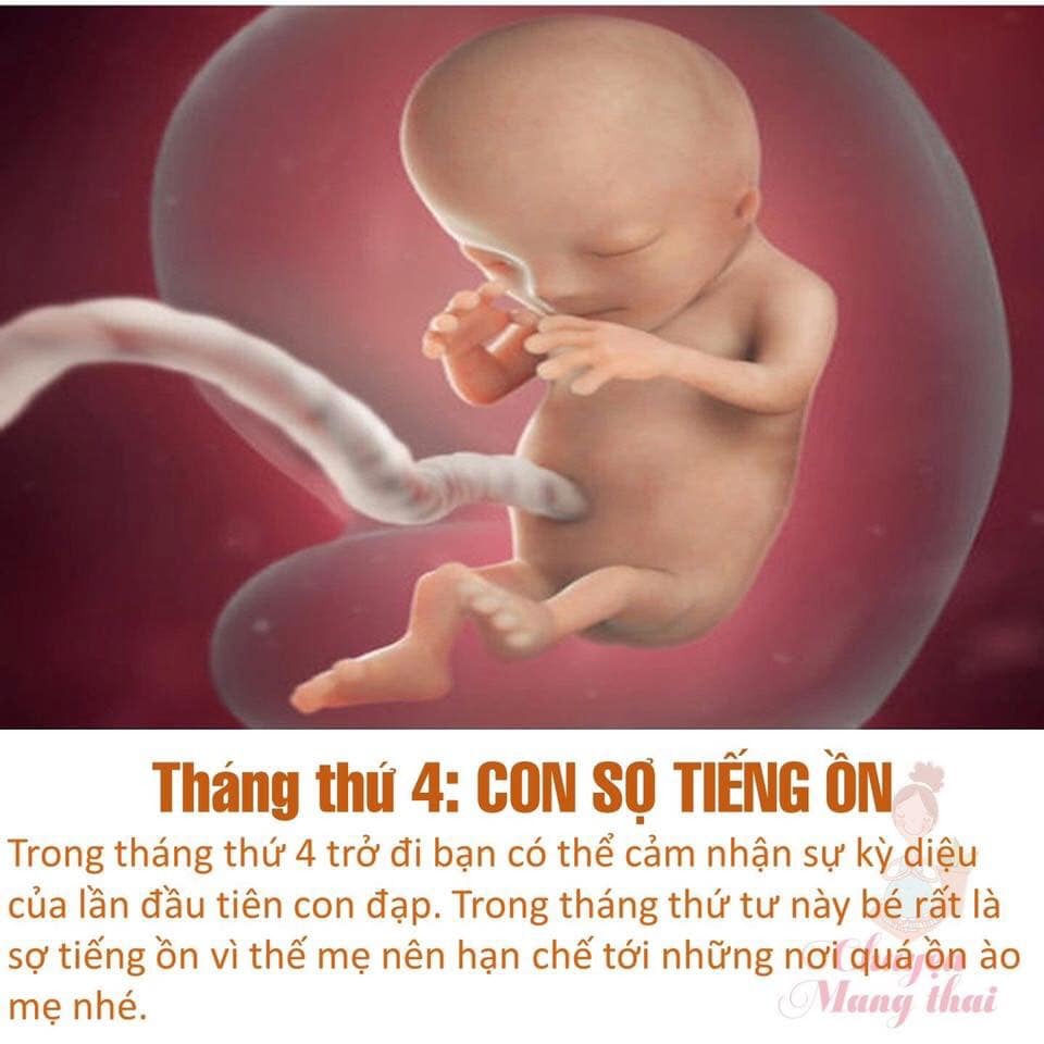 Các mẹ ơi chú ý nhé để con sinh ra được khoẻ mạnh nhé!