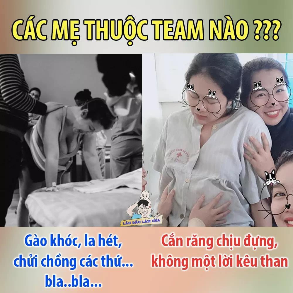 Không biết team nào đông hơn các mẹ nhỉ 🤣