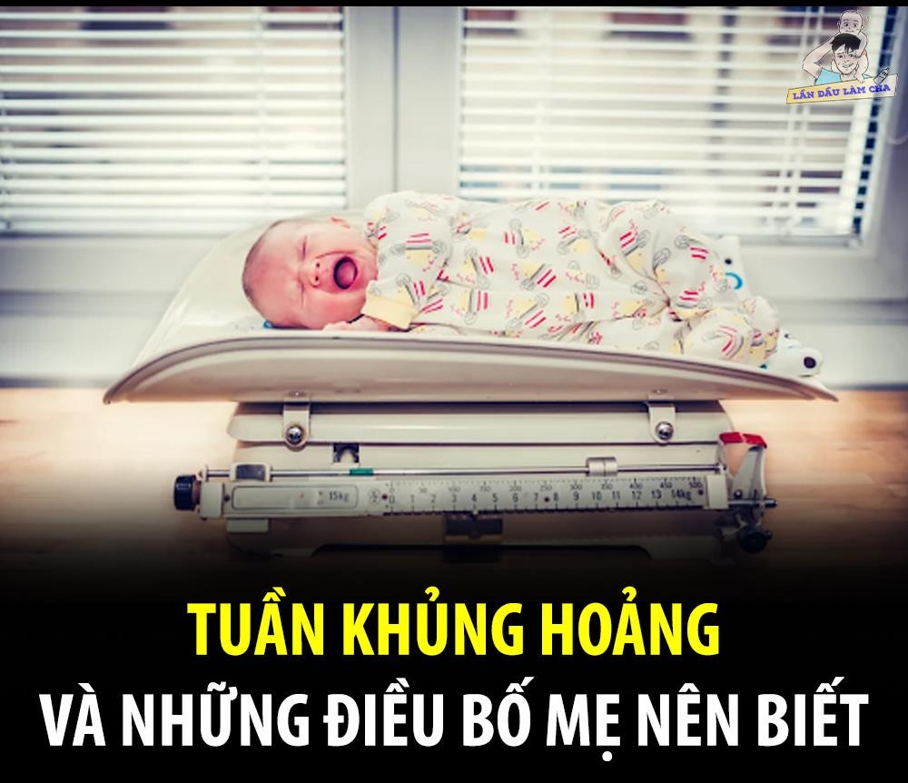 Quá nhiều mẹ thắc mắc về các vấn đề con ăn uống và ngủ không tốt, hầu hết đều rơi vào các TUẦN KHỦNG HOẢNG nhưng các mẹ chưa nắm vững về kiến thức này. Bài này sẽ cung cấp kiến thức cho các mẹ về TUẦN KHỦNG HOẢNG hay còn gọi là WONDER WEEK.
1. WONDER WEEK LÀ GÌ?
- Wonder week (ww) là CÁC TUẦN PHÁT TRIỂN KỸ NĂNG VÀ TINH THẦN của bé.
- Đây là các giai đoạn mà các bé sẽ có bước nhảy vọt về kỹ năng và phát triển trí não.
- Có 10 kỳ ww rải rác trong 2 năm đầu đời của các bé, trong mỗi kỳ ww sẽ có 2 giai đoạn: STORM (BÃO TỐ) và SUNNY (NẮNG ĐẸP). (Xem hình minh họa)
- Giai đoạn BÃO TỐ là bước khởi đầu để bé bắt đầu học hỏi các kỹ năng, sự phát triển mới, và lúc này bé sẽ trở nên CÁU GẮT, KHÓ CHỊU, BỎ ĂN, BỎ NGỦ, NHÕNG NHẼO, BÁM MẸ và mọi lịch ăn uống ngủ nghỉ của bé trở nên LỘN TÙNG PHÈO.
- Hết giai đoạn Bão tố là lúc bé sẽ học được kỹ năng mới, có sự nhận thức tốt hơn về thế giới xung quanh, và lúc này bé sẽ đi vào thời kỳ NẮNG ĐẸP, mọi thứ trở lại như bình thường, bé của bạn ngoan như chưa bao giờ khó chịu 😀.
Ví dụ: Bé A 2.5 tháng tuổi, bé đang tập lẫy, cả tuần bé chẳng ăn chẳng ngủ, chỉ mải lẫy, tập chưa được thì khóc ré lên đòi mẹ, thỉnh thoảng bé lại cáu kỉnh. 10 ngày sau bé lẫy được thành thạo, bé lại vui vẻ, ăn ngủ như bình thường. Khoảng thời gian từ 2.5 tháng đến 3 tháng tuổi chính là tuần " bão tố", còn thời gian 3 tháng tuổi được gọi là tuần "nắng đẹp" , hai thời gian này gộp lại thành "Tuần phát triển kĩ năng và tinh thần".
Như vậy có thể dự đoán rằng khi bé học lẫy, ngồi, bò,đứng, đi, nói thì bé sẽ rơi vào WW.
P/S: Theo sách thì là 10 giai đoạn. Nhưng theo kinh nghiệm thực tế thì tớ thấy có rất nhiều bé "dở chứng" thêm 1 phát thứ 11 vào khoảng 19-20-21m nữa nhé. Kỹ năng các bạn đạt được sau quả thứ 11 này là NÓI DÀI, tức là bạn nào đang bắn phát 1 thì sẽ nói được 2-3 từ liền nhau, bạn nào đang nói 2-3 từ có thể nói câu dài trọn vẹn 5-6 từ...
2. CÁC BIỂU HIỆN CHUNG CỦA WONDER WEEK.
Trước tiên xin có mấy lưu ý nhỏ:
- Tùy vào từng kỳ wonder week mà các biểu hiện sẽ khác nhau.
- Tùy vào từng bé mà các biểu hiện sẽ khác nhau.
Dưới đây chỉ là tập hợp các biểu hiện chung thường có, bé có thể có tất cả các biểu hiện này, hoặc chỉ có 1 vài biểu hiện.
Bảng mô tả lịch các kỳ wonder week chỉ mang tính chất tham khảo vì không phải bé nào cũng đúng chóc giống lịch. Nên các mẹ dựa chủ yếu vào biểu hiện của bé rồi mới đối chiếu với lịch để xem con có khả năng rơi vào kỳ wonder week không. Nhiều bé có thể rơi vào ww sớm hoặc trễ hơn so với lịch.
Các biểu hiện:
- Quấy khóc cả ngày.
- Đang ngủ ngon dậy khóc, càng dỗ càng khóc to và dường như ko có cách gì để bé dừng khóc. (Trước đó ngủ rất thẳng giấc và ngủ sâu).
- Chán ăn, bỏ ăn, ăn ít (trước đó đang ăn rất tốt).
- Đòi bế cả ngày, bám mẹ nhiều hơn.
- Nhút nhát hơn, sợ người lạ.
- Ghen tị.
- Thay đổi tâm trạng nhanh chóng, đang vui có thể ngay lập tức khóc, đang khóc vui luôn.
- Mút tay nhiều, thích ôm ấp 1 món đồ quen thuộc nhiều hơn.
- Đối với các bé lớn (trên 1 tuổi), có thể có nhiều hành động “trở lại tuổi thơ”, ví dụ như đã biết đi tự dưng lại thích bò, đã biết xúc lại bỏ xúc đòi bốc tay, đã cai sữa tự dưng lại ra mò ti đòi bú @_@…
3.TẠI SAO KỲ PHÁT TRIỂN MÀ LẠI KHÓ CHỊU THẾ.
Uh thì phát triển cứ phát triển, sao mà tự dưng chúng nó lại dở chứng kinh dị như thế?
Tưởng tượng thế này, khi bạn đọc 1 cuốn tiểu thuyết ngôn tình sướt mướt, hay là xem 1 bộ phim Hàn Quốc với các tình tiết gay cấn hấp dẫn, bạn sẽ thế nào? Có phải sẽ muốn nhanh nhanh chóng chóng đọc cho hết quyển truyện, xem cho hết bộ phim để xem kết quả cuối cùng anh đầu quăn đẹp giai có lấy cô lùn tịt xấu gái nhà nghèo nhưng cá tính kia hay không? Rồi thì bạn bỏ cả ăn (hoặc vừa ăn vừa dí mắt vào màn hình), bỏ cả ngủ (thức đến 4-5h sáng luyện cho xong) để xem cho nhanh. Rồi thì chả may lúc ý có đứa nào mà gọi điện rủ bạn đi chơi, đi shopping, không khéo chả bị bạn chửi cho 1 trận vì “bố của nợ làm phiền tao”.
Con của bạn cũng vậy! Thời kỳ Bão tố là lúc bé đang “Luyện chưởng”, rất tập trung chăm chú, cần mẫn và kiên trì để học cho bằng được “tuyệt chiêu” mới, có thể là lẫy, có thể là bò trườn, hay mơ hồ hơn là khả năng hiểu được mớ ngôn từ mà “bọn người lớn” cứ ra rả bên tai bé hàng ngày là cái gì… Thế nên người ta bỏ ăn, bỏ ngủ, đang đêm ngủ ngon tỉnh giấc nhớ ra “bí kíp” chưa luyện xong, buồn quá.. khóc… Rồi thì luyện mãi ko xong, người ta cáu, giận, bực bội. Đã thế “bọn người lớn” ko hiểu chuyện lại lao vào la hét, quát mắng, hoặc lo lắng thái quá, nhồi ép ăn, ép bú, ép ngủ, hay tệ hơn là lôi đi bác sỹ khám…làm cản trở quá trình “luyện chưởng” của các đại ca, đại tỷ…. Và tất nhiên, luyện mãi ko được, người ta sẽ buồn, buồn quá thì cần nơi nương tựa, chia sẻ, động viên, khích lệ và người ta tìm đến ai? MẸ MẸ MẸ!!! Và đó là lý do tại sao người ta nhõng nhẽo, bám mẹ sát sạt.
4. THẾ THÌ “BỌN NGƯỜI LỚN” PHẢI LÀM GÌ.
Lý thuyết thì rất nhiều, nhưng kinh nghiệm KINH ĐIỂN nhất lại rất đơn giản: MACKENO - KỆ KỆ và KỆ.
- Đang ngủ dậy khóc: KỆ, hãy để cho các nàng, các chàng ĐƯỢC QUYỀN KHÓC, khóc cho đã đi, rồi mẹ hãy lại gần vỗ về bé. Đơn giản là vì, có lại gần ngay từ đầu, cố gắng dỗ dành cũng ko giải quyết được vấn đề gì
- Chán ăn, ăn ít, lười bú: KỆ. Hết kỳ ww các đại ca, đại tỷ sẽ ăn bù, chả sao cả.
- Nhõng nhẽo, ăn vạ: LẠI KỆ. Lại cho các bạn ĐƯỢC QUYỀN KHÓC.
Nói chung là thế, nhưng tất nhiên cũng có 1 vài giải pháp nho nhỏ khác ngoài việc KỆ nhé, nói ra ko các mợ lại bảo em “tư vấn cũng như không” 😀
- Đầu tiên là nên cho các bạn trẻ đi ngủ giấc đêm sớm hơn bình thường 30 - 45 phút.
- Cắt đi 1 giấc ngày (áp dụng với tuần 12 - 26 hoặc 37 - 55 hoặc 64). TẠI SAO? Rằng thì là mà các tuần này là các tuần mà bọn “sâu ngủ” muốn trở thành “trí thức”, chúng nó đang muốn ngủ ít hơn, phá nhiều hơn và gọi tên 1 cách mỹ miều thì là những giai đoạn mà các bạn ý muốn CẮT NGỦ NGÀY (giảm số lượng/thời gian các giấc ngủ ban ngày)
- KHÔNG ÉP CON ĂN, đừng biến biếng ăn sinh lý thành biếng ăn tâm lý. Mẹ chỉ cần đợi đến lúc con ĐÓI con ĐÒI thì mẹ cho ăn là được.
- Quan tâm con nhiều hơn, cùng chơi các trò chơi để luyện tập các kĩ năng con đang học.
- Khi bé quấy khóc, giúp bé quên đi sự khó chịu bằng cách cho bé thực hiện hoạt động bé thích nhất, mát xa cho bé, cho bé đi ra ngoài chơi, nghịch nước.
- Cho đi chơi, cho hoạt động càng nhiều càng tốt. Đi chơi để quên buồn bực, hoạt động nhiều để cho “mệt”, mệt quá thì lăn ra ngủ say quay tít, ko có sức dậy mà gào thét.
- Cuối cùng, học cách chịu đựng tiếng khóc của con. HÃY ĐỂ BỌN TRẺ ĐƯỢC QUYỀN KHÓC. (Tại sao lại nói là được quyền khóc? Bởi vì tớ biết có rất rất nhiều mẹ sợ con khóc, con hơi e e 1 tẹo là đã chạy vội lại dỗ dành, ôm ấp, làm đủ trò để con không khóc, mà thực ra, khóc là 1 quyền của trẻ, để thể hiện tâm trạng, để giải tỏa sự khó chịu, bức xúc, ấm ức trong người… vậy thì tại sao lại ngăn con khóc?)
Nguồn: Nuôi con không phải là cuộc chiến