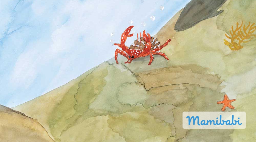 Truyện Ehon - Truyện tranh thai giáo: Ann-Nem-Oh-Nee muốn phiêu lưu