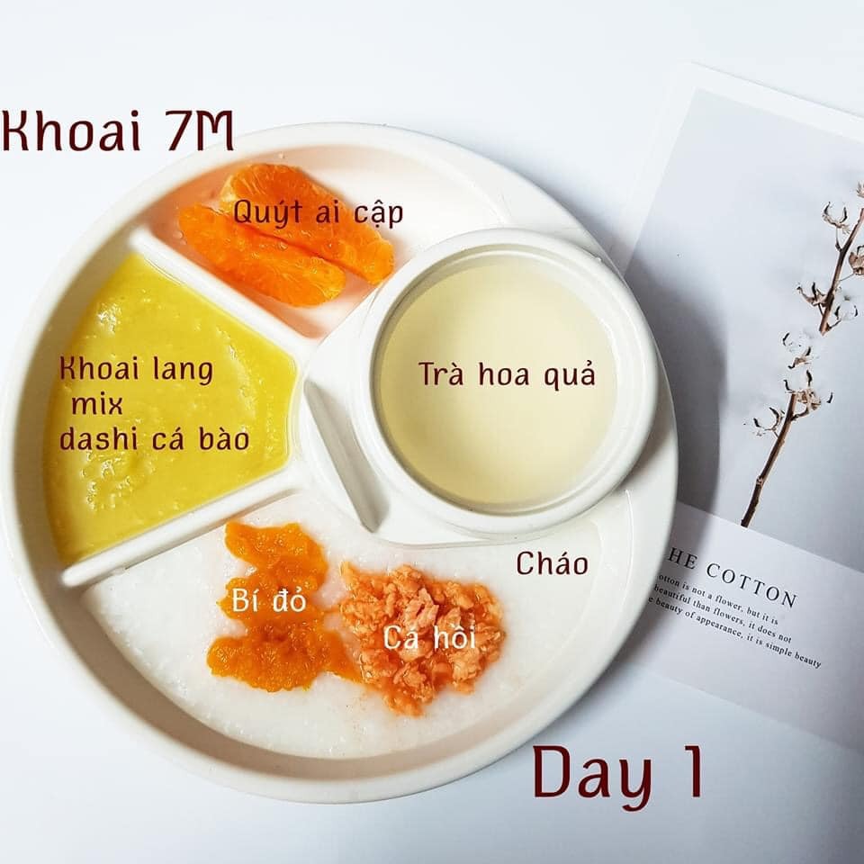 Hành trình ADKN kết hợp BLW.

Sang tháng thứ 7 mẹ cho ăn kết hợp chút xíu BLW nhưng em vẫn ăn ngon lành. Rau củ quả, thịt cá em đều ăn hết không chê món nào.

Chiều tối nào cũng ăn bánh mẹ làm nên kỹ năng ăn thô tốt hơn nhiều rồi. Biết cắn miếng nhỏ và nhai kỹ. Gặp hôm nào mẹ lười đi chợ thì nhà có gì ăn nấy. Có khi khát với lấy cả trà của mẹ ra uống luôn. 

Bước sang tháng thứ 8 mẹ cũng khá stress vì chịu nhiều ý kiến nhau. Nhưng mà mẹ biết làm thế nào để tốt nhất cho em. Tất nhiên mẹ sẽ không so sánh em với bất cứ em bé nào để tự tạo áp lực. 

Mẹ lưu lại đây những bữa ăn của Khoai để sau này Khoai biết đã hoàn thành cơm mẹ nấu như thế nào nhé .🙌

St: mẹ Khoai