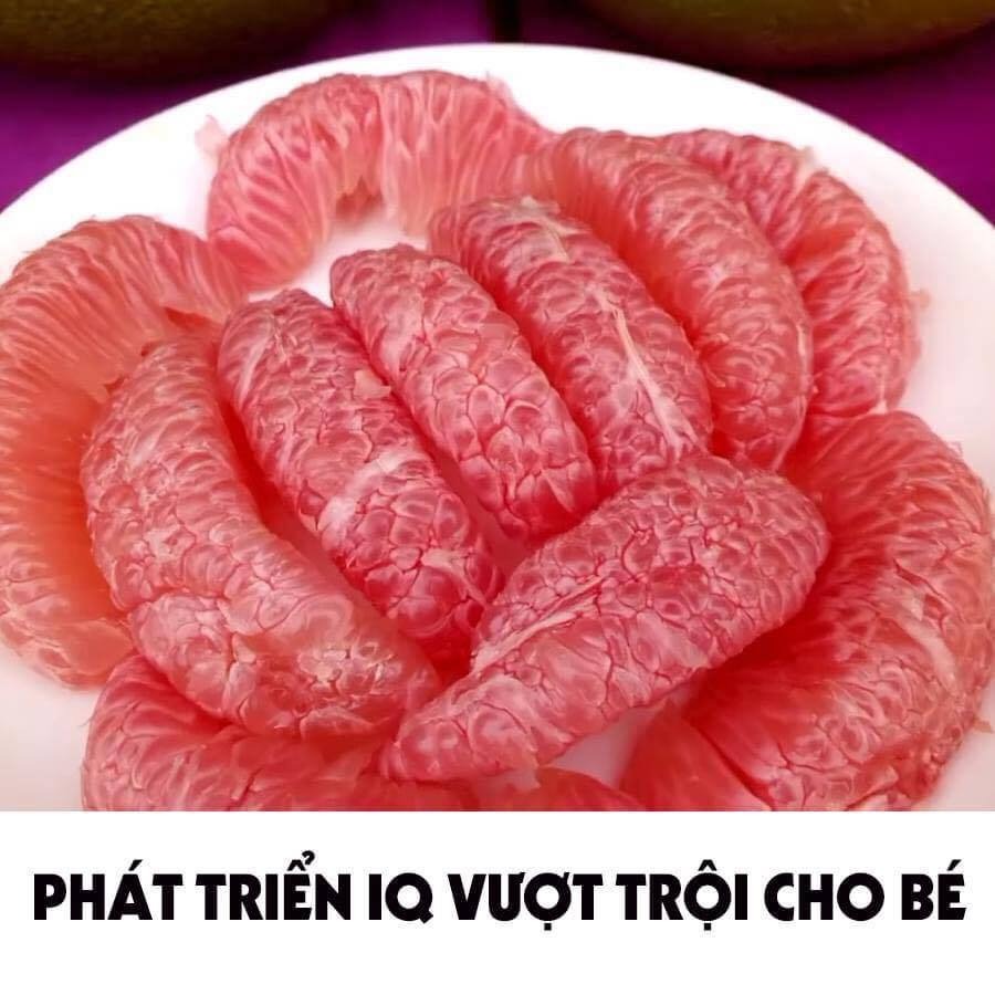 CÁC LOẠI QUẢ TỐT CHO MẸ VÀ BÉ 
CÁC MẸ LƯU LẠI THAM KHẢO NHÉ ❤️