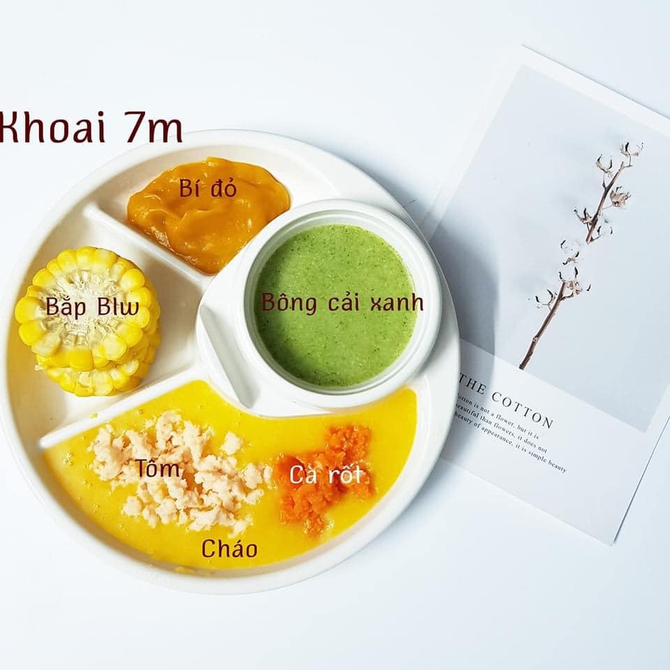 Hành trình ADKN kết hợp BLW.

Sang tháng thứ 7 mẹ cho ăn kết hợp chút xíu BLW nhưng em vẫn ăn ngon lành. Rau củ quả, thịt cá em đều ăn hết không chê món nào.

Chiều tối nào cũng ăn bánh mẹ làm nên kỹ năng ăn thô tốt hơn nhiều rồi. Biết cắn miếng nhỏ và nhai kỹ. Gặp hôm nào mẹ lười đi chợ thì nhà có gì ăn nấy. Có khi khát với lấy cả trà của mẹ ra uống luôn. 

Bước sang tháng thứ 8 mẹ cũng khá stress vì chịu nhiều ý kiến nhau. Nhưng mà mẹ biết làm thế nào để tốt nhất cho em. Tất nhiên mẹ sẽ không so sánh em với bất cứ em bé nào để tự tạo áp lực. 

Mẹ lưu lại đây những bữa ăn của Khoai để sau này Khoai biết đã hoàn thành cơm mẹ nấu như thế nào nhé .🙌

St: mẹ Khoai