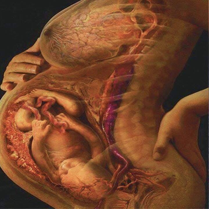 Sinh con và...
Sinh ra 1 đứa con phụ nữ gần như đã hi sinh cả cuộc đời . Còn đàn ông, chỉ thêm mà chẳng phải lo mất mát. Có lẽ vì vậy mà phụ nữ yêu con hơn bản thân mình, còn đàn ông chỉ yêu con qua lời nói.
Vì con phụ nữ dừng bước lại trước những phù hoa cám dỗ nhưng lại đủ dũng khí để đập tan mọi vất vả chông gai. Còn đàn ông chỉ nhớ đến con khi họ đã tan những cuộc vui bên ngoài, khi bạn bè họ đã vùi đầu trong chăn êm nệm ấm...
Phụ nữ yêu con bằng những đêm thức trắng khi con ốm, bằng những cái ôm thật chặt trong đêm mưa gió khi chỉ có 1 mẹ, 1 con. Đàn ông yêu con bằng những cái hôn bên má khi con đã ngủ say , cái hôn ám đầy mùi rượu bia sau những cơn say thâu đêm suốt sáng.
Phụ nữ yêu con bằng những vết rạn chằng chịt trên cơ thể sau 10 tháng mang thai, bằng cơn đau xé nát thịt da khi con cất tiếng khóc chào đời. Còn đàn ông yêu con bằng cái họ trong tờ giấy khai sinh mỏng manh, và không ít đàn ông Việt Nam yêu con bằng câu hỏi con Trai hay Gái...
Núi có cao đến mấy vẫn có thể đo lường...
Lòng Mẹ yêu con vĩnh viễn là vô hạn...