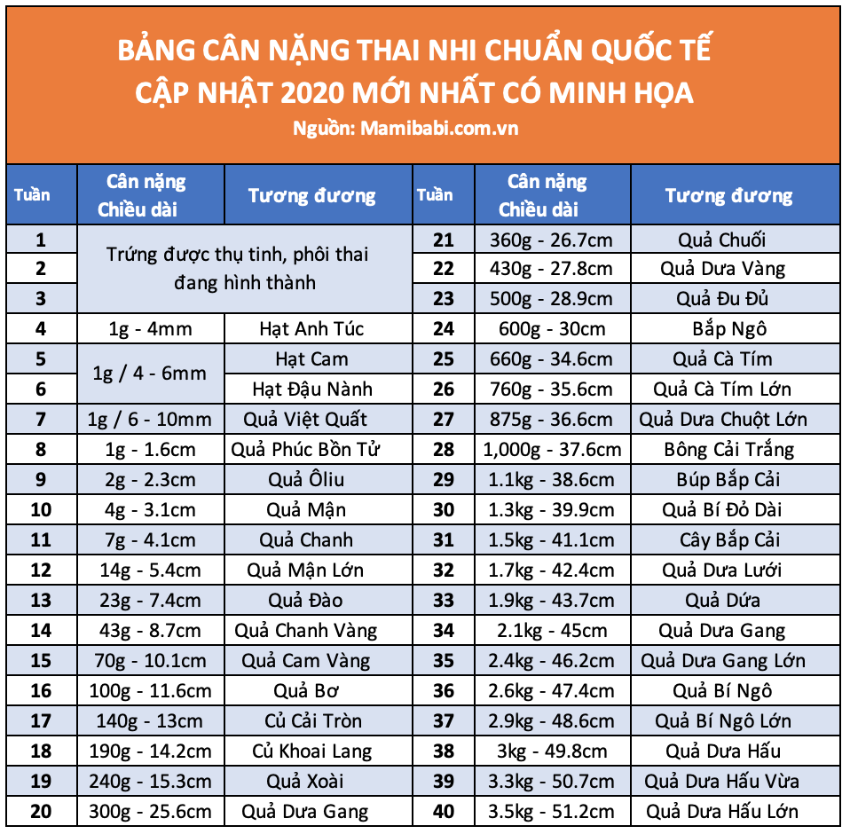 Bảng cân nặng thai nhi theo tuần của WHO năm 2020