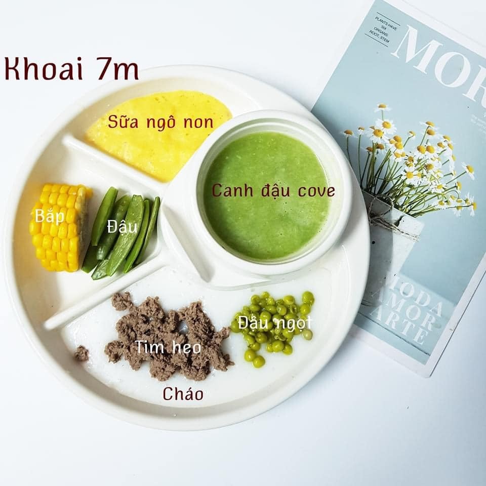 Hành trình ADKN kết hợp BLW.

Sang tháng thứ 7 mẹ cho ăn kết hợp chút xíu BLW nhưng em vẫn ăn ngon lành. Rau củ quả, thịt cá em đều ăn hết không chê món nào.

Chiều tối nào cũng ăn bánh mẹ làm nên kỹ năng ăn thô tốt hơn nhiều rồi. Biết cắn miếng nhỏ và nhai kỹ. Gặp hôm nào mẹ lười đi chợ thì nhà có gì ăn nấy. Có khi khát với lấy cả trà của mẹ ra uống luôn. 

Bước sang tháng thứ 8 mẹ cũng khá stress vì chịu nhiều ý kiến nhau. Nhưng mà mẹ biết làm thế nào để tốt nhất cho em. Tất nhiên mẹ sẽ không so sánh em với bất cứ em bé nào để tự tạo áp lực. 

Mẹ lưu lại đây những bữa ăn của Khoai để sau này Khoai biết đã hoàn thành cơm mẹ nấu như thế nào nhé .🙌

St: mẹ Khoai