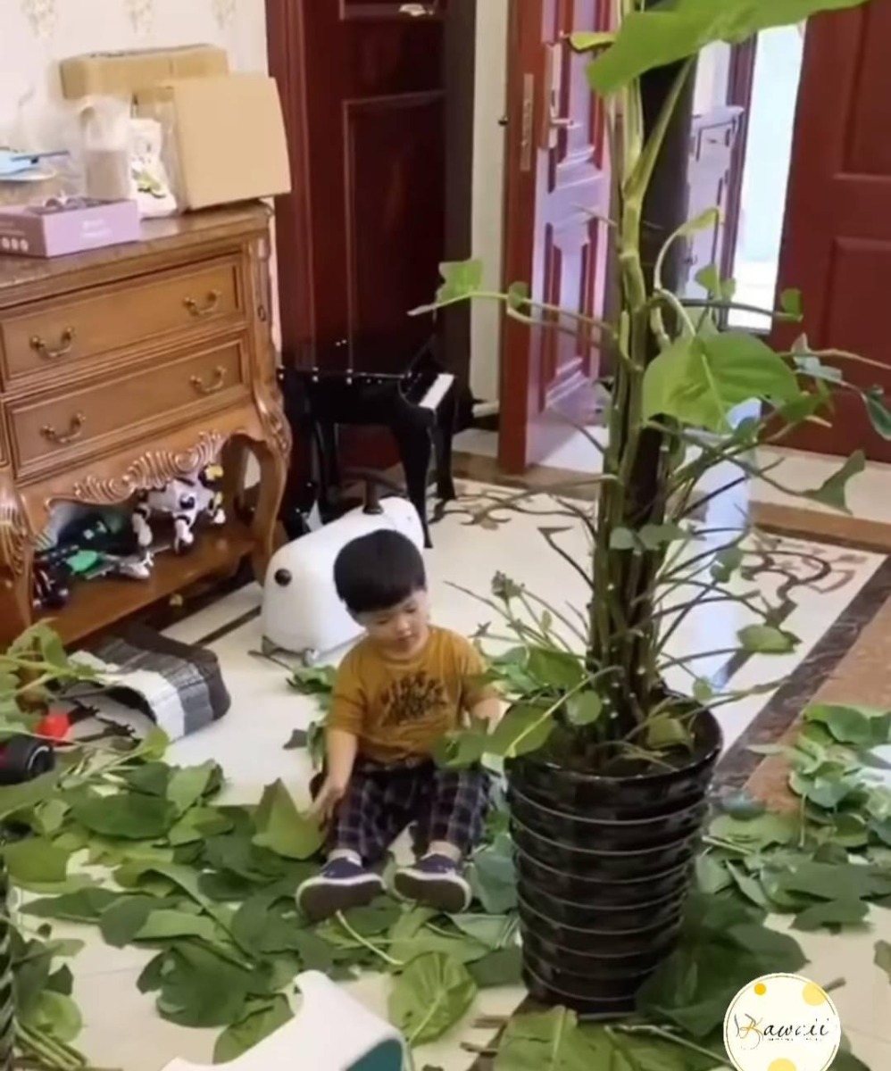 Con của các mom đã đạt đến tầm "vũ trụ" này chưa...!