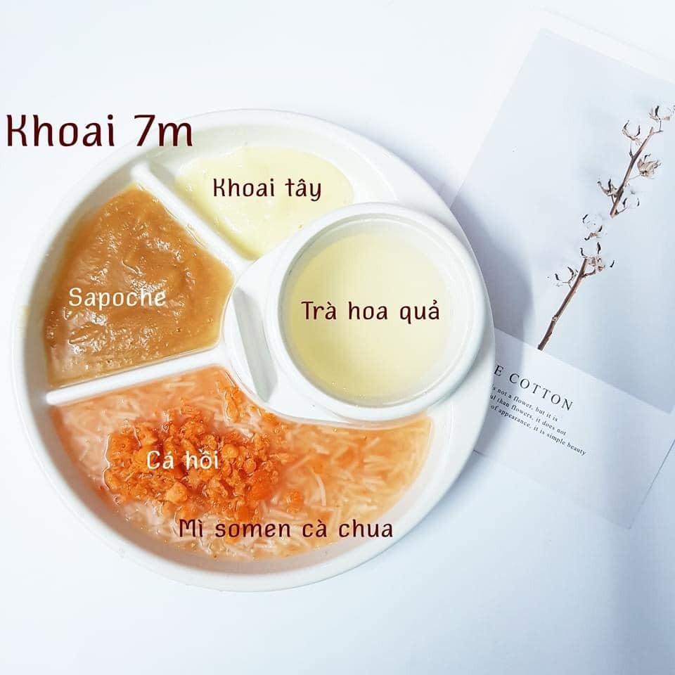 Hành trình ADKN kết hợp BLW.

Sang tháng thứ 7 mẹ cho ăn kết hợp chút xíu BLW nhưng em vẫn ăn ngon lành. Rau củ quả, thịt cá em đều ăn hết không chê món nào.

Chiều tối nào cũng ăn bánh mẹ làm nên kỹ năng ăn thô tốt hơn nhiều rồi. Biết cắn miếng nhỏ và nhai kỹ. Gặp hôm nào mẹ lười đi chợ thì nhà có gì ăn nấy. Có khi khát với lấy cả trà của mẹ ra uống luôn. 

Bước sang tháng thứ 8 mẹ cũng khá stress vì chịu nhiều ý kiến nhau. Nhưng mà mẹ biết làm thế nào để tốt nhất cho em. Tất nhiên mẹ sẽ không so sánh em với bất cứ em bé nào để tự tạo áp lực. 

Mẹ lưu lại đây những bữa ăn của Khoai để sau này Khoai biết đã hoàn thành cơm mẹ nấu như thế nào nhé .🙌

St: mẹ Khoai