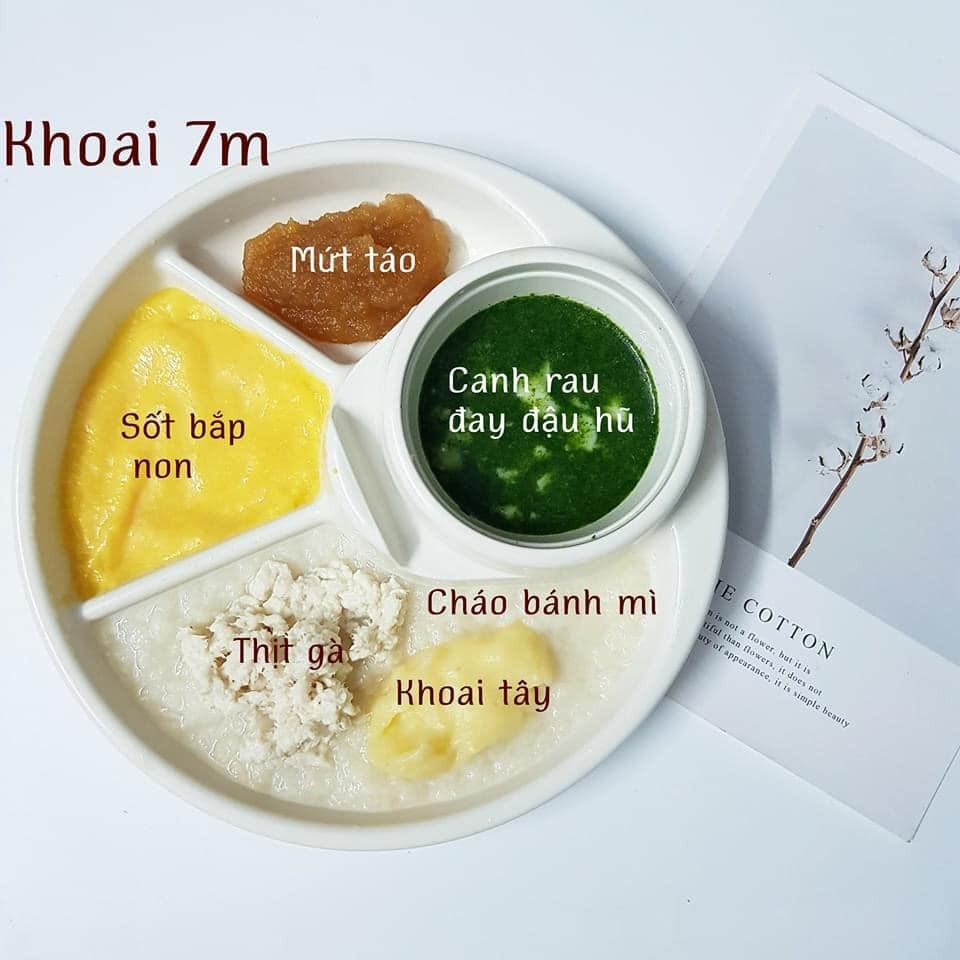 Hành trình ADKN kết hợp BLW.

Sang tháng thứ 7 mẹ cho ăn kết hợp chút xíu BLW nhưng em vẫn ăn ngon lành. Rau củ quả, thịt cá em đều ăn hết không chê món nào.

Chiều tối nào cũng ăn bánh mẹ làm nên kỹ năng ăn thô tốt hơn nhiều rồi. Biết cắn miếng nhỏ và nhai kỹ. Gặp hôm nào mẹ lười đi chợ thì nhà có gì ăn nấy. Có khi khát với lấy cả trà của mẹ ra uống luôn. 

Bước sang tháng thứ 8 mẹ cũng khá stress vì chịu nhiều ý kiến nhau. Nhưng mà mẹ biết làm thế nào để tốt nhất cho em. Tất nhiên mẹ sẽ không so sánh em với bất cứ em bé nào để tự tạo áp lực. 

Mẹ lưu lại đây những bữa ăn của Khoai để sau này Khoai biết đã hoàn thành cơm mẹ nấu như thế nào nhé .🙌

St: mẹ Khoai