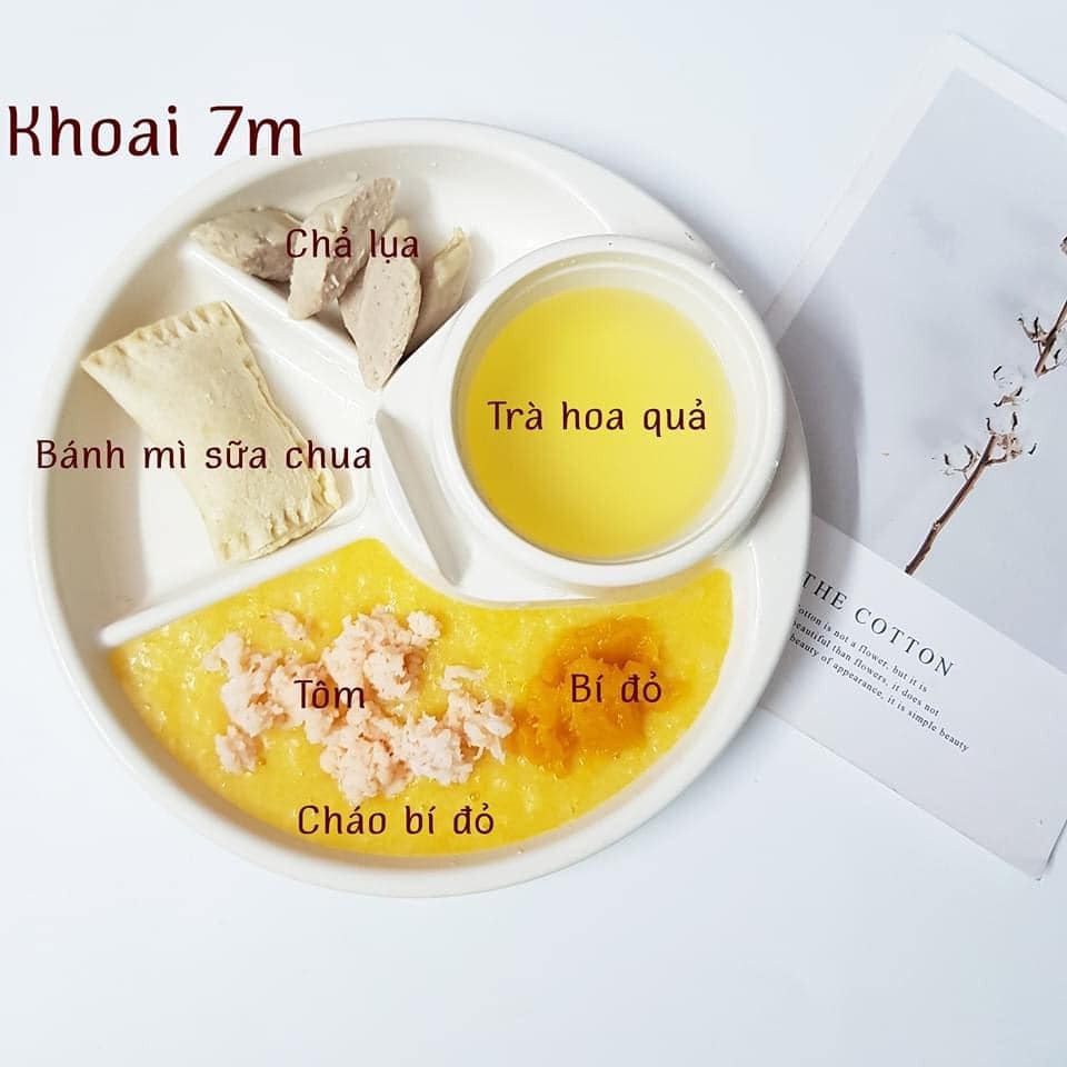 Hành trình ADKN kết hợp BLW.

Sang tháng thứ 7 mẹ cho ăn kết hợp chút xíu BLW nhưng em vẫn ăn ngon lành. Rau củ quả, thịt cá em đều ăn hết không chê món nào.

Chiều tối nào cũng ăn bánh mẹ làm nên kỹ năng ăn thô tốt hơn nhiều rồi. Biết cắn miếng nhỏ và nhai kỹ. Gặp hôm nào mẹ lười đi chợ thì nhà có gì ăn nấy. Có khi khát với lấy cả trà của mẹ ra uống luôn. 

Bước sang tháng thứ 8 mẹ cũng khá stress vì chịu nhiều ý kiến nhau. Nhưng mà mẹ biết làm thế nào để tốt nhất cho em. Tất nhiên mẹ sẽ không so sánh em với bất cứ em bé nào để tự tạo áp lực. 

Mẹ lưu lại đây những bữa ăn của Khoai để sau này Khoai biết đã hoàn thành cơm mẹ nấu như thế nào nhé .🙌

St: mẹ Khoai