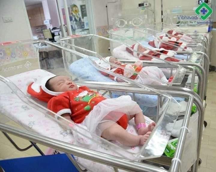 Khi bạn sinh vào mùa giáng sinh 🎅🥰🥰