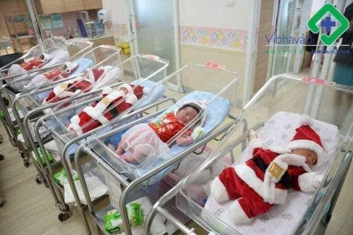 Khi bạn sinh vào mùa giáng sinh 🎅🥰🥰