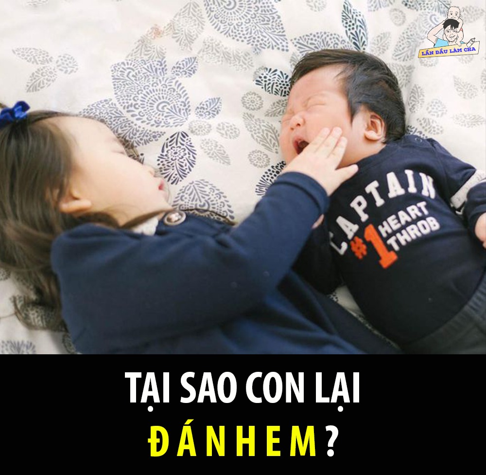 VÌ SAO CON LẠI Đ Á N H EM?

Đó là một câu hỏi mà rất nhiều bậc cha mẹ đặt ra cho con nhưng không nhận được câu trả lời. Mặc dù ba mẹ vẫn luôn nghĩ rằng "mình đã cố gắng hết sức có thể để đối xử công bằng với các con" nhưng đứa lớn vẫn hay đ.ánh đứa bé! Không hiểu tại sao?

Nhưng ba mẹ biết không vẫn có nguyên nhân sâu xa mà có thể bố mẹ đã vô tình bỏ qua vì nó chỉ là những cử chỉ, hành động và lời nói quá nhỏ nhặt.

Từ những điều tưởng chừng vụn vặt vô hại ấy, tích dần lên theo thời gian, tác động trực tiếp vào nhận thức của đứa trẻ khiến nó thay đổi hành vi.
Nếu để ý, cha mẹ sẽ thấy, bất kể một em bé nào khi mới được lên chức anh/chị, sẽ không lao vào đ.ánh em ngay từ những ngày đầu. Những hành vi đó chỉ xuất hiện dày đặc lên sau một khoảng thời gian.

VẬY, TẠI SAO?

30% xuất phát từ bản năng của đứa trẻ, 70% nguyên nhân xuất phát từ cách hành xử của người lớn!

Trong những năm đầu đời, đặc biệt là giai đoạn từ 0 - 3 tuổi, trẻ thường sống và hành động theo bản năng. Đã gọi là sống bản năng, đồng nghĩa với việc chúng hành động theo cảm xúc và thường chưa biết cách làm thế nào để tiết chế cảm xúc của bản thân. Sống bản năng tức là khi gặp chuyện bực tức, bất an, ấm ức... chúng sẽ tìm cách trút giận lên những kẻ yếu thế hơn. Trong phạm vi gia đình, kẻ yếu hơn ở đây chính là đứa em của chúng. Hoặc cũng có những trẻ phản ứng bằng cách tự thu mình lại, bỏ nhà ra đi vì nghĩ rằng, ba mẹ không còn yêu mình nữa.

Nó có nghĩa, nếu người lớn có thể tạo cho chúng 1 môi trường khiến chúng luôn cảm thấy an toàn, được yêu thương và công bằng trong cách đối xử, những biểu hiện tiêu cực sẽ rất ít khi xảy ra.

Tuy nhiên, rất ít ba mẹ khi sinh con thứ hai làm được điều này. Phần vì họ không lưu tâm, phần vì họ chưa thực sự tinh tế trong cách đối xử với 2 đứa trẻ.

TẬP HỢP NHỮNG MẢNH GHÉP NHỎ CỦA SỰ ẤM ỨC, KHIẾN CHÚNG LUÔN CÓ SỰ Á.C CẢM VỚI EM MÌNH.

1/ "MẸ SINH EM BÉ, CHÁU RA RÌA RỒI!"

Đây là câu trêu đùa kinh điển của người lớn. Một câu trêu đùa tưởng chừng vô hại, nhưng hóa ra lại tai hại vô cùng! Chẳng có bất cứ một đứa trẻ nào thích bị bố mẹ cho ra rìa. Chẳng có bất cứ một đứa trẻ nào thích thú khi bố mẹ quan tâm, chăm sóc em nhiều hơn, yêu em nhiều hơn!
Nếu người lớn cứ thường xuyên nhắc đi nhắc lại câu nói này trước khi mẹ chúng sinh em bé. Đứa trẻ ấy sẽ nảy sinh cảm xúc thù ghét em ngay khi em ra đời!

2/ "CON NGỦ ĐI! GIỮ YÊN LẶNG ĐỂ EM CÒN NGỦ! CON CỨ NÓI TO NHƯ THẾ, LÀM SAO MÀ EM NGỦ ĐƯỢC?"

Một câu nói nghe có vẻ là rất bình thường nhưng thực chất nó lại gây ấm ức cho bé.

Bé sẽ thắc mắc "Tại sao em ngủ thì con lại phải ngủ?". Nó còn có nghĩa "vì em mà mình không được chơi đùa". Trong trường hợp này, quyền lợi của bé rõ ràng đã bị ảnh hưởng bởi em.

Bởi vậy cho nên, bố mẹ đừng nên lấy con nhỏ ra làm lý do để ngăn cản con lớn làm bất cứ việc gì. Hãy tìm một nguyên nhân khác. Thay vì mẹ nói con đi ngủ cho em còn ngủ thì mẹ hãy bảo bé lớn con phải đi ngủ vì trời đã tối và mọi người đều phải đi ngủ. Hay là ngủ để giữ sức khỏe và còn để mai có thể thức dậy sớm để đi học!

Việc ngủ bé lớn và việc ngủ của em, vốn không liên quan đến nhau! Đừng bắt con bé phải làm việc gì hoặc không được làm việc gì "vì em".

3/ "CON LỚN RỒI, CON PHẢI NHƯỜNG EM CHỨ!"

Bạn nghĩ, đó là lý do chính đáng và thuyết phục nhất? Nhưng tin tôi đi, nó chẳng có ý nghĩa với con bạn đâu. Vì sao ư? Vì nó vốn chẳng còn nhớ được những gì đã diễn ra hồi nó còn bé. Cái nó quan tâm là những gì mắt thấy tai nghe!

Cha mẹ nên nhớ rằng, muốn con cái yêu thương, đoàn kết với nhau, điều kiện tiên quyết đầu tiên mà bố mẹ nên làm là đối xử công bằng với chúng. Không thể cứ là anh/chị thì phải chịu thiệt, còn là em thì được chiều chuộng, được nhường nhịn. Làm như vậy, tức là bố mẹ đang hại cả 2 đứa con mình. Một đứa luôn sống trong ấm ức nên trở nên cục cằn, một đứa vì được chiều chuộng, nhường nhịn nên trở thành ích kỷ.

4/ "CON HƯ LẮM. EM NGOAN THẾ NÀY CƠ MÀ!"

Một câu nói mà đến người lớn còn không thích chứ chưa nói đến trẻ con. Chẳng ai muốn bị mang ra so sánh với kẻ khác. Những đứa trẻ thì càng không. Bởi trẻ con vốn rất nhạy cảm. Những gì mà người lớn không để ý, chúng lại rất hay lưu tâm. Đừng bao giờ mang chúng ra so sánh với nhau, ai hơn, ai kém.

Mang con mình ra so sánh với con hàng xóm đã ác rồi, mang chúng ra so sánh với nhau còn ác hơn! Làm như vậy, chỉ khiến chúng càng ngày càng ghét nhau, ganh tỵ nhau.

5/ "CON NÍN ĐI! EM TRÊU CON À? MẸ Đ.ÁNH EM NHÉ!"

Mục đích của câu nói vốn dĩ chỉ là để dỗ dành con lớn nín khóc trong ngắn hạn. Nhưng về dài hạn, chính câu nói này đã gián tiếp dạy bé cần phải đánh em khi em trêu mình. Và khi vắng bố mẹ trông chừng, bé rất có thể sẽ đ.ánh em vì cho rằng hành động nào đó của em đã phạm phải điều cấm kỵ trên: trêu chị!

6/ "CON LÀM ĐỔ CỐC NƯỚC À? HAY EM LÀM ĐỔ? CHẮC LÀ EM HẢ? EM HƯ QUÁ!"

Thực ra, câu nói này để gián tiếp nhắc nhở, cảnh báo nhưng nó lại gây tác dụng ngoài ý muốn là con bé bắt đầu biết đổ tội cho em, không chịu trách nhiệm với hành động của mình.

Vậy cho nên, người lớn đừng bao giờ nói với con bằng giọng nước đôi như thế này nếu bạn biết chắc chắn ai làm đổ nước. Bởi, nếu nói như vậy, tức là bạn đã gián tiếp dạy bé cách đổ tội lỗi lên đầu kẻ khác. Không dám nhận lỗi và chịu trách nhiệm với những lỗi lầm của mình mà chỉ đổ tội cho em. Điều này thực sự rất tai hại.

7/ KHI 2 CON CÙNG KHÓC MÀ BẠN CHỈ CÓ 1 MÌNH. HÃY DỖ ĐỨA LỚN TRƯỚC!

Bởi vì bé còn rất nhỏ nên gần như con không biết sự tủi thân và ganh tị với bé lớn. Còn bé lớn thì khác, nếu cả 2 cùng khóc thì con rất hay để ý đến thái độ của ba mẹ.

Khi thấy mẹ chạy đến bên mình trước,bé vui sướng ra mặt và mẹ chỉ cần dỗ vài câu là nín. Sau khi bé lớn nín, mẹ có thể rủ ra cùng dỗ em bé. Như vậy là xong, rất êm đẹp đúng không nào.

8/ NẾU NGHE HÁT, KỂ CHUYỆN TRƯỚC KHI ĐI NGỦ LÀ THÓI QUEN CỦA BÉ THÌ BA MẸ CỐ GẮNG DUY TRÌ THÓI QUEN ĐÓ CHO CON. ĐỪNG VÌ LÝ DO BẬN, MỆT MÀ BỎ QUÊN. KHI ĐÓ, BÉ SẼ CHO RẰNG, VÌ CÓ EM NÊN BỐ MẸ MỚI KHÔNG YÊU THƯƠNG, QUAN TÂM BÉ NHƯ XƯA.

9/ ĐỪNG QUÊN BẾ EM LỚN, BÀY TỎ TÌNH YÊU VỚI EM LỚN, DÀNH THỜI GIAN VUI CHƠI, NÓI CHUYỆN VỚI EM LỚN HÀNG NGÀY ĐỂ EM LỚN AN TÂM RẰNG, VIỆC CÓ THÊM EM BÉ, KHÔNG ẢNH HƯỞNG GÌ ĐẾN TÌNH YÊU CỦA BỐ MẸ DÀNH CHO MÌNH.

10/ HÃY ĐỂ Ý TỚI NHỮNG BỘ PHIM HOẠT HÌNH MÀ BÉ XEM. ĐỪNG CHO BÉ XEM NHỮNG BỘ PHIM XUẤT HIỆN NHIỀU CẢNH BẠO LỰC. VIỆC BÉ HAY ĐÁNH EM, CŨNG CÓ THỂ LÀ DO BÉ BẮT CHƯỚC THEO NHỮNG NHÂN VẬT TRONG PHIM HOẠT HÌNH. MÀ TRONG PHIM HOẠT HÌNH, DÙ CÁC CON VẬT CÓ ĐÁNH NHAU LỘN TÙNG PHÈO THÌ CHÚNG VẪN CHẲNG BỊ LÀM SAO. NÊN BÉ NGHĨ, VIỆC ĐÁNH NGƯỜI KHÁC KHÔNG CÓ GÌ LÀ TRẦM TRỌNG.

11/ HÃY ĐỘNG VIÊN BÉ, RỦ BÉ CÙNG THAM GIA VÀO VIỆC CHĂM SÓC EM.

Khi con bé nhận thấy, việc chăm em là trách nhiệm của cả gia đình và sự xuất hiện của em vốn dĩ chẳng gây ảnh hưởng xấu gì tới quyền lợi của con bé, con bé sẽ tự có những cách hành xử đúng mực. Khi đã yêu quý em rồi thì chẳng cần bố mẹ phải dạy, con bé cũng sẽ nhẹ nhàng với em, nhường nhịn em, chia sẻ đồ chơi với em.

Như vậy, việc quan trọng nhất bố mẹ cần phải làm từng bước một đó là:

- Giúp con làm quen với việc có em.

- Giúp con không có ác cảm với sự có mặt của em.

- Giúp con yêu quý và gắn bó với em.

- Sau khi con bé đã yêu quý em rồi việc của bố mẹ là dạy chúng cách chia sẻ với nhau, bảo vệ nhau, nhường nhịn nhau.

Thực hiện từng bước một thôi, như vậy mới cho hiệu quả tốt.

Nếu ngay từ đầu, bố mẹ đã đưa ra những nguyên tắc cho con lớn và bắt con phải thực hiện theo vô điều kiện. Nếu con không thực hiện mà lỡ tay đánh em, bố mẹ lập tức quát mắng, trừng phạt con, thậm chí đánh đập, con sẽ chỉ thêm thù ghét em mà thôi.

Dù nỗi ấm ức này không thể hiện ra ngoài, nhưng nó sẽ tích tụ dần và gây ra những hậu quả đáng tiếc về sau. Thậm chí, có những anh, chị em trong một gia đình vẫn cay cú, thù ghét nhau ngay cả khi đã trưởng thành, lập gia đình.

Những hành động nhỏ nhặt, ba mẹ ứng xử một cách tinh tế hơn thì các con sẽ luôn thương yêu nhau. Hãy để cho chúng có một tuổi thơ êm đềm, cùng nhau lớn lên và trưởng thành!

<st>