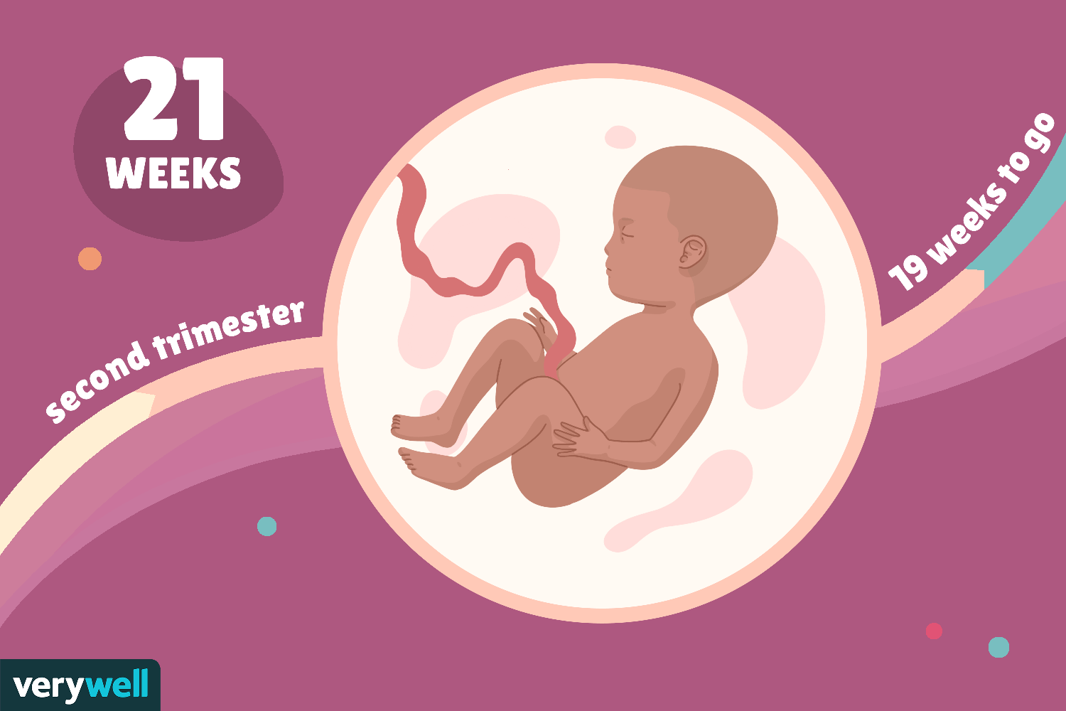 Thai 21 tuần nặng bao nhiêu? Thai 21 tuần phát triển như thế nào?