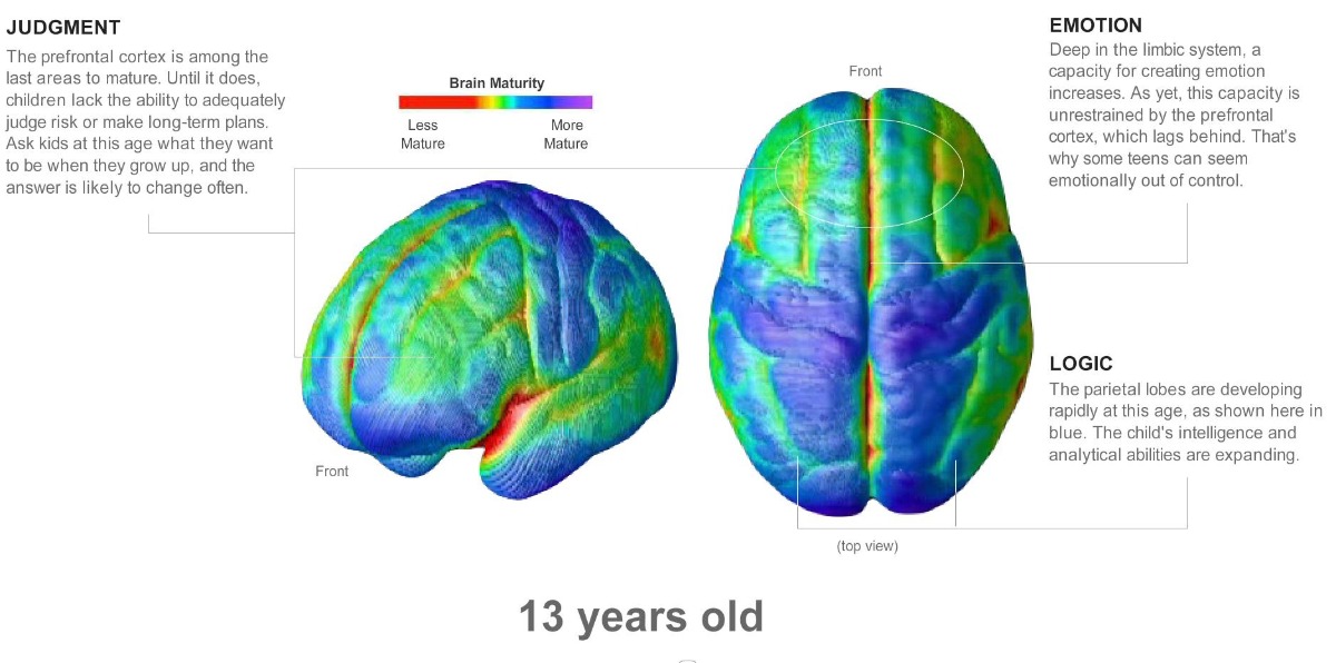 NÃO TRẺ PHÁT TRIỂN THẾ NÀO THEO THỜI GIAN?

Các khu vực khác nhau của não trưởng thành ở các mức độ khác nhau theo thời gian. Điều này giúp giải thích các thay đổi về trí tuệ và cảm xúc thường thấy ở trẻ em, thanh thiếu niên và thiếu niên. 

Dù không có đứa trẻ nào phát triển theo cùng 1 cách giống y như nhau, các nhà khoa học vẫn có thể liên kết các cột mốc phát triển nhất định với những thay đổi trong mô não, được chụp MRI nhiều lần trong nhiều năm liên tiếp. 

Các phần màu vàng, đỏ, cam cho thấy mô não chưa phát triển trong khi các phần màu xanh lá cây, xanh dương, và tím cho thấy sự trưởng thành hơn, phát triển hơn của não. Nhiều kết nối thần kinh đã không được sử dụng trong những năm thiếu niên.

Hiểu cơ bản về não bộ sẽ giúp cha mẹ bớt áp lực, kỳ vọng và hạnh phúc, ôn hòa hơn nhiều trong nuôi dạy trẻ. Ví dụ như là đừng nên mong đợi khả năng phân tích từ một đứa trẻ 4 tuổi - con chưa thực sự sẵn sàng để phân tích và dự đoán. 

--
KHI LÊN 4, bộ não trẻ đã gần như phát triển đầy đủ, chịu trách nhiệm cho sự vận động chung và cảm xúc cơ bản. Con có thể đi bộ, cầm bút và tự ăn tốt. Những khu vực chịu trách nhiệm cho cảm giác xúc giác cũng phát triển đầy đủ. Phần não điều khiển tầm nhìn cũng đã trưởng thành. Phần vỏ não trước trán, chịu trách nhiệm phân tích, suy nghĩ logic và ra quyết định còn kém phát triển. Trẻ đã có thể biết đi, giữ cục màu sáp hoặc tự đút cho chính mình ăn. 

KHI LÊN 6, sự phát triển tích cực của ngôn ngữ vẫn được tiếp tục, và trong hình ảnh chụp não thực tế, khu vực này vẫn là màu cam, nghĩa là chưa trưởng thành thực sự. Điều này cũng có thể giải thích vì sao trẻ nhỏ học ngoại ngữ dễ dàng như vậy và vùng não điều khiển ngôn ngữ này còn tiếp tục phát triển nhanh cho tới khi trẻ lên 10. Các phần màu vàng và đỏ lốm đốm của vỏ não trước trán cho thấy khả năng suy nghĩ trừu tượng, suy luận và trưởng thành về cảm xúc hay khả năng suy nghĩ hợp lý chưa được phát triển. Đây là nguyên nhân khiến con gặp tình trạng không thể xử lý nhiều thông tin cùng một lúc hoặc quá tải cảm xúc và giận dữ. 

KHI LÊN 9, con thành thạo các vận động tinh: việc viết trở nên dễ dàng hơn, cầm kéo hay làm đồ thủ công chính xác hơn. Con bắt đầu nắm bắt được các khái niệm khoa học trong hình học và toán học. Tốc độ học tập ở độ tuổi này cũng nhanh hơn. 

KHI LÊN 13, vỏ não trước trán là một trong những khu vực trưởng thành cuối cùng nên cho tới khi nó xảy ra, con vẫn thiếu khả năng đầy đủ để phán đoán những rủi ro hoặc lập kế hoạch dài hạn. Vì vậy khi hỏi trẻ ở độ tuổi này muốn làm gì khi lớn lên thì câu trả lời có thể vẫn thường xuyên thay đổi.  Hệ thống limbic cho phép con trải nghiệm những cảm xúc mạnh mẽ, nhưng khu vực não chịu trách nhiệm chưa thực sự phát triển, do đó chúng ta thường nghe về những sự bồng bột trong cảm xúc tuổi teen. Thùy đỉnh đang phát triển nhanh chóng ở độ tuổi này (màu xanh da trời), có nghĩa là khả năng logic, kỹ năng phân tích đang phát triển và ngày càng mở rộng hơn. 

KHI LÊN 15, hiệu suất não bộ được cải thiện. Các kết nối thần kinh không cần thiết sẽ tự tắt, nhưng các kết nối tích cực được tăng cường: bộ não trở nên "chuyên biệt" hơn. Ở thời điểm này, trẻ có thể chọn 1 lĩnh vực kiến thức con thấy thú vị nhất và nghiên cứu sâu về nó. 

KHI LÊN 17, sự phát triển của các khu vực vỏ não trước trán (màu xanh và tím đậm) mới bắt đầu tăng dẫn tới sự bùng nổ của tương tác xã hội và cảm xúc giữa các thanh niên lớn tuổi hơn. Suy nghĩ trừu tượng, khả năng đánh giá rủi ro, lập kế hoạch và tự kiểm soát bắt đầu xuất hiện và thực tế . 

KHI LÊN 21, đây là lúc bắt đầu có sự trưởng thành về tình cảm. Nhưng các khu vực màu xanh lá cây cho thấy ngay cả sau khi đạt tới độ tuổi trưởng thành chính thức, vẫn có những khu vực não tiếp tục phát triển. Bộ não của độ tuổi này phần lớn là trưởng thành, nhưng những mảng xanh cho thấy rằng ngay cả ở ngưỡng tuổi trưởng thành hợp pháp thì sự trưởng thành về cảm xúc và khả năng đưa ra quyết định sẽ còn tiếp tục phát triển trong những năm sau đó. 

Hình ảnh não bộ do Tiến sĩ Paul Thompson, Đại học California, Los Angeles cung cấp. Nguồn thông tin được cung cấp bởi Tiến sĩ Jay Giedd, Viện Sức khỏe Tâm thần Quốc gia Hoa Kỳ. Sản xuất bởi Tara Parker-Pope, Jon Huang, và Mike Mason/The New York Times
--
Linh Phan