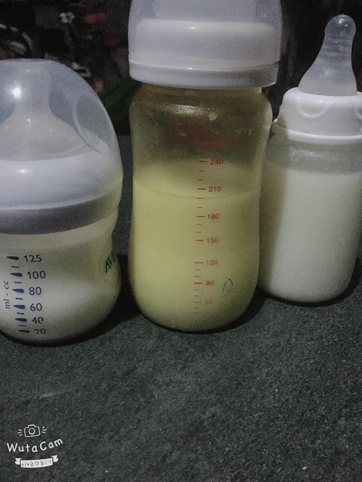 CHIA SẺ CÁCH KÍCH SỮA

💁 Mẹ Sóc chào các mẹ bỉm sữa và các mẹ sắp làm me bỉm sữa muốn nuôi con bằng sữa mẹ hoàn toàn ( smht).

Sau khi mấy đợt cho tặng sữa đến các mẹ, mẹ nào cũng hỏi em cách làm thế nào để nhiều sữa, kích kiểu gì bla bla...

Em sẽ chia sẻ kinh nghiệm của riêng em, một người cũng đang nuôi con bằng smht, em không phải bác sĩ , chẳng tài cán gì ngoài cái tủ trữ đông sữa và đơn giản là em cũng làm mẹ, em đã trải qua em đã thành công, và em muốn các mẹ ko vấp phải những thất bại em từng trải qua, muốn các mẹ nhanh có sữa nhất có thể để con chúng ta được hưởng nguồn dinh dưỡng tuyệt vời nhất đó là SỮA MẸ 😘 

Trước hết khuyên các mẹ bỉm sữa chưa sinh con hãy chuẩn bị lượng kiến thức bằng cách tìm hiểu không gì giúp các mẹ được, bằng chính các mẹ tự lặn lội đi tìm. Em cũng vậy phải tự mò mẫm phải tự đi đó đây để tìm những kiến thức tốt nhất phục vụ, chiến đấu với các bạn nhỏ với tâm thế luôn sẵn sàng vững vàng tâm lí :)) 

💁 KÍCH SỮA LÀ GÌ?
Đó là sau khi sinh không có sữa về ngay, lượng sữa không đủ, mất sữa không lí do, vơi sữa sau khi sinh một thời gian ... đại khái là ko có sữa nha và muốn có sữa ngay thì không phải tự nhiên nó phọt ra được thì người ta gọi là kích sữa về.

💁 PHẢI KÍCH BAO LÂU SỮA VỀ
Các mẹ đừng hỏi em câu này, khoai lắm ạ, vì nó phụ thuộc vào chính bản thân các mẹ đó, như bài trước  em viết trong  group " CHIA SẺ CHUYỆN ĐI ĐẺ" về cách gọi sữa sau sinh cơ bản không cần kích đối với các mẹ sữa dễ về, em có nói :

Trời sinh chị em chúng ta có cặp vếu lủng lẳng phía trước là có lí do:)) phải có niềm tin, phải luôn tự tin là sữa nó chỉ chậm về thôi chứ em khẳng định một mẹ sức khoẻ bình thường 💯 đủ sữa nuôi con, chứ chưa nói chuyện thừa sữa ah.

Bản thân em thì sau khi mổ ở phụ sản về, em đâu có sữa ngay, chỉ vài giọt rỉ cho con, em bị cương ngực ko phải bị tắc sữa cho nên chỉ matsa chườm âm ấm rồi lôi máy ra kích, kích ngày kích đêm. Nên tinh thần các mẹ trước tiên cứ hồ hởi để kích sữa nhé vui lên, vì đời đâu mấy vui cớ sao lại boằn ... 🎶🎵🎶🎵😁 

Sau dần dần sữa về ngày nào là do cơ địa từng mẹ. Nên là đừng than với em là ko có sữa, ko có đủ sữa nuôi con.v.vv...Tất cả chỉ chưa về thôi ạ!

💁 KÍCH BẰNG MÁY GÌ!
Theo kinh nghiệm của em thì ai có ý định đi làm hoặc muốn bà trông con tiện kinh doanh, hay là muốn nuôi con easy đặc biệt easy nhé thì cho con ti bình, và điều đó khiến chúng ta phải tậu ngay 1 con trâu hút sữa, hiện tại e đang dùng medela dòng cơ bản nhẹ tiền nhất có cả chế độ massa và sau đó hút các m ạ, không phải hút cầm tay đâu rất bất tiện😙

Dùng máy hút đôi thì càng tốt khi cho máy vào hút mình ngồi bế con, cho con bú, chơi với con hay là ngồi viết tào lao như em đang viết đây đây.

💁KÍCH NHƯ THẾ NÀO
Em không biết kích sữa về nó có những quy định và luật nào e chỉ lấy bản thân em ra để kể cho mọi người cách mà em làm, cách làm của một ng mẹ sinh mổ cũng 1 tuần sữa chưa vè, cương ngực nằm nhìn con ôm chồng khóc :)) Vâng e ko dấu là e khóc nhiều lắm ạ. Stress sau sinh là ko thể tránh được. NHƯNG chỉ cho phép 1 ngày duy nhất bà mẹ đc nằm đó rơi nước mắt, hãy đứng dậy vác dụng cụ ai có máy đôi dùng đôi ai có đơn dùng đơn , quyết tâm mang sữa về cho con 😂 không gì thay đổi đuoc là chúng ta đã làm mẹ nhé. Vì vậy chỉ có cách là đâm theo lao chạy theo lao thôi. 

  MẸ VỊT ĐÃ KÍCH NHƯ THẾ NÀO VẬY!

🤔 Đây là cách em kích 💁
* L2 , L3, sau đó lên L4...L8 Đây là cách gọi của 2 Tiếng kích lần 3 tiếng kích lần sau đó sữa về lượng sữa ổn định thì có thể chuyển lên 4 tiếng hút lần, 5 tiếng hút lần sau đó là 6 rồi lên 8 tiếng. Ám hiệu L3 L4 L5 là vậy đó các má 😂.
* Sau khi ở viện về một phần do lười nên mẹ Vịt chọn cách kích 3 tiếng lần. Đi hỏi han bạn bè, xem các trang group chia sẻ của các mẹ khác lúc đầu mình cũng thấy hãi vừa đẻ xong mệt gần chết, thèm ngủ làm sao mà cứ 3 tiếng lại dậy được. Nhưng vì không có sữa cho con nghị lực càng thêm mạnh mẽ bắt đầu từ:
      6h- 9h- 12h- 15h - 18h - 21h- 00h- 3h 
* Đây được gọi là các cữ hút nha cách nhau 3h. Mẹ vịt suốt hơn 3 tuần đầu là kích theo cữ như vây, những buổi đầu sẽ khá khó khăn vì mới làm quen, và căng thẳng thèm ngủ. Nhưng pai cố thôi Lượng sữa kích sẽ tăng dần theo cơ địa và cảm xúc của các mẹ, mình nói cảm xúc ở đây có nghĩa là phải chấp nhận 1 điều là ko có sữa mới phải kích còn đâu có sữa ngồi hút dư sau con bú nó lại khác các mệ nha. Phải chuẩn bị tâm lí nó sẽ ra tí một tí một lượng sữa đầu sau sinh rất tốt nên hãy chắt chiu từng chút cóp lại để làm đủ cữ cho con, không mấy ai một phát đủ cữ ngay đâu nên không được nhụt trí lại inbox kêu em là không đủ cho con làm sao đây :)) là e thua nha. 

* Đến giờ là phải mang đồ ra để kích tạo phản xạ để báo tín hiệu cho não là chúng ta càn sữa cho con, não bộ kì diệu lắm thật đáng yêu 😍. 

💁 Đối với người mới kích: 
* Trước tiên uống cốc nước thật nóng trước luc hút  vài phút 15p-30p tốt nhất hoặc như mẹ vịt thời gian đầu kích là ngoài ăn các món gọi sữa thì đến giờ hút mang đồ lên kèm theo cốc sữa ông thọ đặc nóng, trước khi hút e massa bầu ngực cào cào chải chải về phía núm vú, sau đó lấy khăn sữa của con làm ấm rồi xoa lên bầu ngực, khăn chùm lên núm vú rồi văn vê núm vú cho mềm và các đầu tia được thông khâu này làm tốt thì tia sữa sẽ rất mạnh.
* cữ Kích sẽ diễn ra 15 Phút thôi👍 : theo công thức 7-5-3 . Bắt đầu mở máy sẽ có chế độ massa trước đó là tự động của máy medela . 
* Hút 7p rồi bấm chuyển massa
* Hút 5 p bấm massa
* Hút 3p bấm massa
* riêng em thì bấm mass sau mỗi lần hút là 3-5 p. Ban đầu ngồi sẽ chỉ hóng hóng sót ruột ko biết tín hiệu sữa về là gì, nhưng cứ kiên trì ngồi xem hài hay xem ảnh con, chuỵen trò với mọi ng.... đừng có nhìn mãi vào cái bình tạo áp lực cho bản thân là sữa càng ko về. Sau vài lần kích lực hút sẽ dần dần báo tín hiệu sữa về có cảm giấc lâm râm như cái gì đó đang bò ở trong bầu ngực đến đầu tí. Đó chính là sữa về đó, có thời gian e còn bị trâm trích nhoi nhói đó là nang sữa chuyển động đón sữa đó các mệ ạ ko sao nhé. 😂

* 7-5-3 là công thức ban đầu ai lm cũng đuoc không thì cứ massa một lúc rồi lại bấm hút rồi lại massa, hãy nhớ massa thì mới dẫn sữa về nhanh, về sau sữa về hết rồi lại massa lúc massa sữa vẫn ra vẫn về như hút nhưng đó ko phải nhiệm vụ của chế độ massa.
* 💁 Mẹ vịt thời gian đầu cho con ti liên tọi mút mát vì nó mới là cái máy hút kinh khủng, sau đó nó ngủ ngồi kích, sẽ đau rất đau cho mẹ nào mới làm mẹ cái đầu ti nó rát nó buốt. 

- [ ] LƯU Ý.
 Khi kích tg đầu ko tránh việc đau ti, các mẹ ngoài việc chăm vê đầu ti để mềm, để thông tia hãy nhớ vệ sinh sạch sau mỗi lần kích, bằng nước muối sinh lí.
Hãy sắm lọ thuốc mỡ để không bị rát mỗi lần con bú, hoặc kích sữa. Em dùng thuốc mỡ medela cái này con ti trực tiếp đc không ảnh hưởng gì cả, vài tuần là ti quen không cảm giác đau rát nữa.
* Nhớ những ngày sữa về chút một có đủ cữ  cho con, đêm hôm lịch kịch đồ để chuẩn bị tư thế, nhưng vẫn ko thể cưỡng lại cơn ngủ :)), hãy tranh thủ ngủ bất cứ lúc nào, sữa về nhiều nhanh hay chậm phụ thuộc vào tinh thần cảm xúc của các mẹ, nhớ điều quan trọng KHÔNG ĐƯỢC NẢN!

* Sau thời gian kích sữa lên tính bằng tổng cả một ngày hút chứ không ai tính theo cữ hút nha. khi kích L3 lên khoảng 1-1,2-1,5... có người 2 lít ấy chứ thì thoải mái việc giãn cữ. Lên L4 có những mẹ cơ địa tắc vì chuyển đột ngột thì lên từ L3 - L3,5 là từ 3h lên 3,5h/lần  rồi hãy  L4 là 4h/lần, nếu cho con bú song song thì không sợ tắc. Em thì theo cữ con ăn, con ăn giờ nào em hút giờ đó cho bé ăn. Em cho Vịt nhà e ti bình bú mẹ cữ đêm và sau khi tắm, một số lúc cáu gắt. 
* Sau khi kích sữa về các mẹ chọn hút tiếp cho con ti bình hoặc cho con ti trực tiếp là tuỳ điều kiện mỗi mom

- [ ] Lưu ý:
Các mẹ cho con ti bình thì hãy hút theo cữ hoặc hút theo cữ con ăn, hoặc hút theo 1 tg cố định trong ngày, việc này rất quan trọng cho việc còn sữa hay mất sữa ạ, cơ thể chúng ta có bộ não cực kì thông minh, hút đúng giờ kiên trì sữa cứ giờ đó nó về thế mới hay :)) nhưng chỉ bỏ bê lệch không nghiêm túc não bộ tính hộ bạn là thằng con bạn chắc không cần sữa nữa
=>  Sinh ra tắc - viêm - vơi sữa - mất sữa Lại kích lại có ng lại đc co người không nhé, phần lớn kích lại vơi không được như ban đầu. Nên các mẹ nghiêm túc chuyện kích và hút sữa nha.

* Thời gian đầu e theo cữ con ăn sau đó chuyển theo giờ cố định, một thời gian e lên thẳng L5 cái giờ cố định gần xêm xêm giờ L5 nên e chuyển không vấn đề gì, hút như vậy con e ăn ít và e phải cất sữa khá mệt nhiều khi nản nhưng vì em nuôi con theo phương pháp Easy nên em pải chăm chỉ kiên trì hút và cất cho con ti bình,
* Việc kích sữa về chuyển sang hút theo đúng cữ thì các mẹ nhớ cữ, chậm cũng chỉ 15-30p nhất định không để qua cữ hút tuyệt đố không được bỏ cữ nếu bận quá không hút được phải nhờ con giúp, con ăn và về các bạn phải hút sạch.
* 😅 Do em ko dùng đơn và dùng tay chay nên e ko nói sâu về cách cụ thể nhưng kích thì tay chay hay máy đơn đều phải nghiêm túc về thời gian

- [ ] NẾU KÍCH TRÙNG CỮ CON ĂN.
Nếu trùng cữ con ăn, ưu tiên để con bú nha, sau đó vẫn lấy máy hút kich bình thường ạ. thời gian đầu nếu có sữa hút kiệt là rất tốt để báo với bộ não các mẹ cần thêm sứa ha.
* Sau thời gian kích lượng sữa khoảng 700-800ml em đã dừng cữ đêm 3h để cho con ti. Sáng dậy kích như bình thường, giấc ngủ đủ ko mệt mỏi lượng sữa khá nhỉnh, các mẹ cũng cân nhắc rồi cắt cữ 3h để nghỉ ngơi nha.
* khi lượng sữa về ok Các mẹ có thể ngừng viẹc uống sữa ông thọ vì sữa ông thọ rất nóng uống nhiều cũng không tốt, chuyển sang uống nước lọc nóng già hoặc chè vằng. Việc uống nc nóng là rất tốt cho việc gọi sữa về.
* Giữ chế độ ăn lợi sữa trong suôt thời gian kích và hút sữa là tốt nhất, có mẹ chọn các loại thuốc hoặc chọn uống ngũ cốc, thực sự để mà nói thì em ko tin sữa em về là do ngũ cốc, nhưng em tin mình tắc sữa là nhờ ngũ cốc, ngũ cốc uống vào khiến sữa đặc là thật còn béo nữa. Cơ địa em sữa đặc nên khi uống dính tắc 1 lần chí mạng nên em ngừng lại, và thay vào đó bổ sung thuốc hỗ trợ và nước đing lăng mỗi ngày.
* HÃY UỐNG THẬT NHIỀU NƯỚC nếu uống ít nước ảnh hưởng lượng sữa và cả sức khoẻ mẹ, do đó hãy uống đủ 2 lít nếu có thể chơi hẳn 2.5.
* Hãy tầm bổ bổ sung vitamin để sau sau sinh có sức khoẻ tốt và lượng sữa thêm phần dồi dào.
* Nếu chọn hút sữa lâu dài hãy sắm cho mình nhiều bình sữa để việc cọ rửa diễn ra ít hơn tiện cho việc nghỉ ngơi.

- [ ] 💁 Điều quan trọng!
* Không được bỏ cữ, hút kích đúng giờ
* Uống đủ nước
* massa vê ti thường xuyên- vệ sinh sạch sau hút
* ăn uống đủ chất và khoa học, việc hút sữa sẽ khiến các mẹ gầy trông thấy nên tuyệt đối không nghĩ việc ăn kiêng hay ăn giảm vì sợ béo.

HÃY SỬ DỤNG ÁO RẢNH TAY 
rất tiện cho các mẹ ngồi massa ngực hoặc ol
💁Tất cả tinh khí em đã viết ra mong các mẹ muốn nuôi con bằng smht hãy kiên trì, hãy có cho mình 1 niềm tin.
E, xin phép không khoe tủ trữ đông, vì e ko muốn tạo áp lực ch0 các m, em đã từng khóc khi nhìn ng ta về sữa, nhìn ng ta có đủ sữa cho con còn em bất lực. Nên các m hãy tin vào bản thân mình nha.
Đừng đánh mất điều quý giá ấy chỉ vì sự lười nhác, và nhụt trí. 
🙃Hãy để con ăn sữa mẹ nguồn dinh dưỡng không gì thay thế được.
Nhiều khi viết bài xong em sợ e làm phiền mọi người vì quá tào lao, nhưng e tin ngoài kia vẫn còn có rất nhiều bà mẹ như em mong con được hưởng sữa mẹ từ khi lọt lòng.
Nói đến kích xong em lại muốn viết thêm bài về bảo quản sữa sau khi hút con không dùng đến, nên bảo quản thế nào cho đúng cách, tiện cho con mà vẫn giữ vệ sinh.
Bảo quản sữa trữ đông sau khi con ăn ko hết, chứ đừng bỏ đi vì còn biết bao em bé không biết mùi sữa mẹ, biết bao bà mẹ thèm cho con được ăn sữa mẹ.