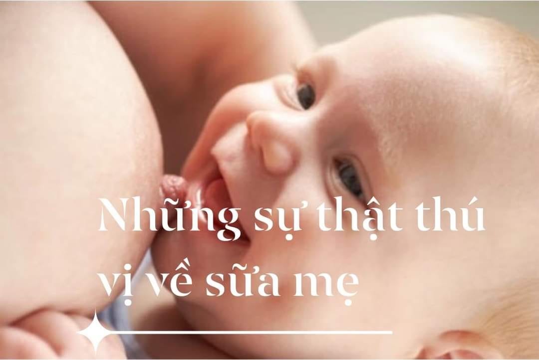 NHỮNG SỰ THẬT THÚ VỊ VỀ SỮA MẸ

“Sữa mẹ là tốt nhất cho sự phát triển trí thông minh của trẻ nhỏ“ là câu nói quen thuộc mà chắc chắn mẹ nào cũng thuộc nằm lòng. Sữa mẹ tốt cho bé là điều ai cũng biết, tuy nhiên có một số sự thật thú vị về dòng sữa mẹ chắc không phải ai cũng biết.

SỮA MẸ KHÔNG PHẢI LÚC NÀO CŨNG MÀU TRẮNG

Sữa mẹ là thường có màu trắng hoặc màu kem, nhưng nó cũng có thể là màu xanh lá cây, xanh dương, vàng, hoặc da cam. Bạn cũng có thể nhận thấy sữa mẹ đặc hơn trong ngày nào đó và loãng hơn vào ngày tiếp theo. Sữa mẹ có thể có nhiều hình thức khác nhau, điều đó hoàn toàn bình thường và không có gì phải lo lắng.

Sữa mẹ luôn luôn thay đổi và không sữa của mẹ nào giống mẹ nào. Thậm chí ngay cả sữa của một bà mẹ cũng có sự thay đổi và khác nhau trong ngày. Sữa buổi sáng cũng khác so với sữa buổi chiều hoặc buổi tối.

SỮA MẸ THAY ĐỔI THEO THỜI TIẾT

Lượng nước sữa của giai đoạn đầu bú thay đổi theo thời tiết trong từng cữ. Nếu trời nắng nóng cơ thể mẹ sẽ tiết ra nhiều nước sữa hơn bình thường để có đủ nước cho bé yêu, đảm bảo cho bé không bị khát trong tiết trời nóng ẩm của mùa hè.

SỮA MẸ KHÔNG CHỈ CHẢY RA TỪ NÚM VÚ

Vì có khoảng 15-25 ống dẫn sữa ở mỗi bên ngực nên có nhiều lỗ ở mỗi bên ngực nơi sữa có thể chảy ra, sữa không chỉ chảy ra ở núm vú.

CẢM XÚC THAY ĐỔI KHI TIẾT SỮA

Oxytocin - hormone chịu trách nhiệm tiết sữa - khiến bạn cảm thấy bình tĩnh và thoải mái, thậm chí buồn ngủ. Tuy nhiên, một số phụ nữ có phản xạ tiết sữa mạnh nên khi tiết sữa có thể bị buồn nôn, suy nhược, đổ mồ hôi và lo lắng vì sự thay đổi hormone quá mạnh. Một số phụ nữ cũng có thể cảm thấy rất khát nước và cần phải bổ sung thêm khoáng chất. Nếu bạn gặp phải tình trạng tương tự thì bạn nên nói chuyện với chuyên gia tư vấn về cho con bú để được giải quyết vấn đề.

SỮA MẸ THAY ĐỔI TRONG TỪNG CỮ BÚ

Điều này không phải mẹ nào cũng nắm rõ. Lượng sữa lúc ban đầu bầu vú mẹ tiết ra được gọi là nước sữa, có tác dụng làm dịu cơn khát cho trẻ. Khi trẻ tiếp tục bú, lượng nước sữa này sẽ được thay thế bằng sữa giàu chất béo, protein và năng lượng tăng dần đến cuối cữ bú. Lúc này sữa có chức năng thỏa mãn cơn đói của trẻ. Do vậy khi cho con bú, các mẹ nên để cho bé bú hết một bên bầu sữa trong cả một cữ bú, thay vì đổi bên bú liên tục, vì lúc đó thật ra bé chỉ được bú nước sữa mà chưa được bú sữa giàu năng lượng của mẹ. Nếu mẹ nào muốn giữ dáng, không muốn ngực bên to bên nhỏ, có thể đổi bên sau mỗi cữ bú, nhưng tuyệt đối không nên đổi bên liên tục trong cùng một cữ bú các mẹ nhé.

SỮA MẸ THAY ĐỔI THEO GIỚI TÍNH CỦA BÉ

Một bí mật thú vị cho các bà mẹ chuẩn bị sinh con. Lượng sữa mẹ khi có bé trai thường nhiều hơn 25% so với lượng sữa mẹ của em bé gái. Đây là kết quả sau một cuộc khảo sát và nghiên cứu của USDA, một tổ chức bảo vệ trẻ sơ sinh của Cộng hòa liên bang Hoa Kỳ

MỘT BÊN NGỰC SẼ CHO NHIỀU SỮA HƠN

Cũng giống như hai bàn tay, ngực của bạn cũng có kích cỡ khác nhau. Vì vậy, một bên ngực của bạn sẽ cho nhiều sữa hơn, nhưng điều đó không có nghĩa là bạn sẽ không đủ sữa cho bé. Hãy bắt đầu cho ăn ở bên ngực cho nhiều sữa hơn để cân bằng hai bên.

TRẺ SƠ SINH CÓ THỂ NHỊN CHỜ SỮA MẸ VỀ

Đây là một sự thật vô cùng thú vị và đặc biệt mà không phải mẹ nào cũng biết. Khi mới sinh ra, dạ dày của trẻ vô cùng nhỏ, không lớn hơn một hòn bi ve. Chính vì thế nếu từ 1 đến 5 ngày đầu mà sữa mẹ chưa về, các mẹ cũng đừng quá lo lắng. Chỉ cần 1-2 giọt sữa rớt ra từ bầu sữa mẹ trẻ đã cảm thấy dịu cơn đói và các mẹ có thể cùng con yêu yên tâm chờ sữa mẹ.

Những giọt sữa đầu này được gọi là colostrum,rất giàu protein và năng lượng, hoàn toàn thích hợp cho em bé. Nếu chị em sinh em bé trong bệnh viện và quán triệt tinh thần nuôi con 100% bằng sữa mẹ, hãy để các bác sĩ và người thân của bạn biết điều đó. Đừng cảm thấy lo lắng khi một vài ngày đầu sữa mẹ chưa về, cũng đừng lo rằng em bé sẽ bị đói. Bé không phải bú một giọt sữa ngoài nào trong lúc chờ sữa mẹ về, điều đó là hoàn toàn không cần thiết.