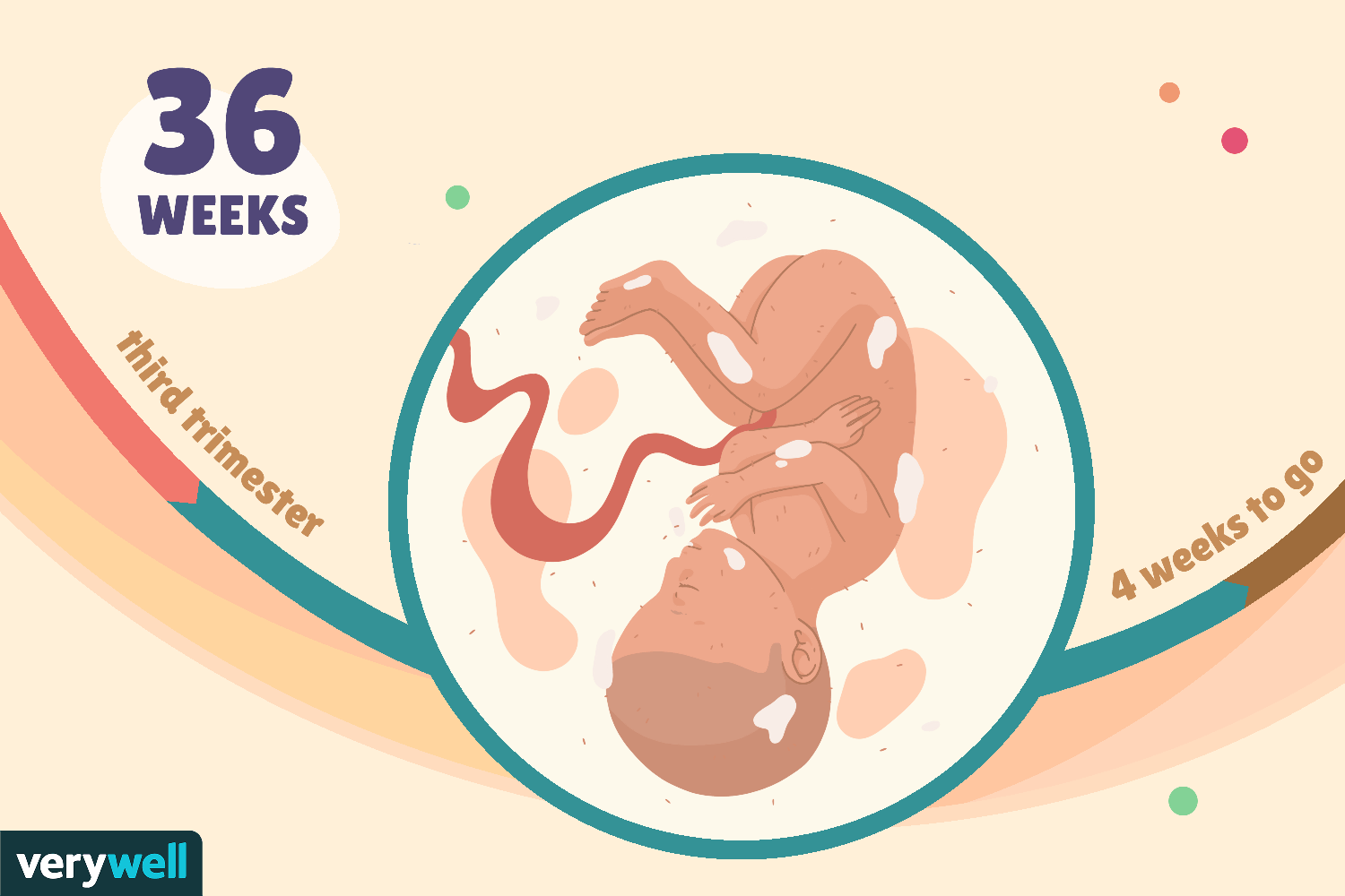 Thai 36 tuần nặng bao nhiêu, gò nhiều có sao không?